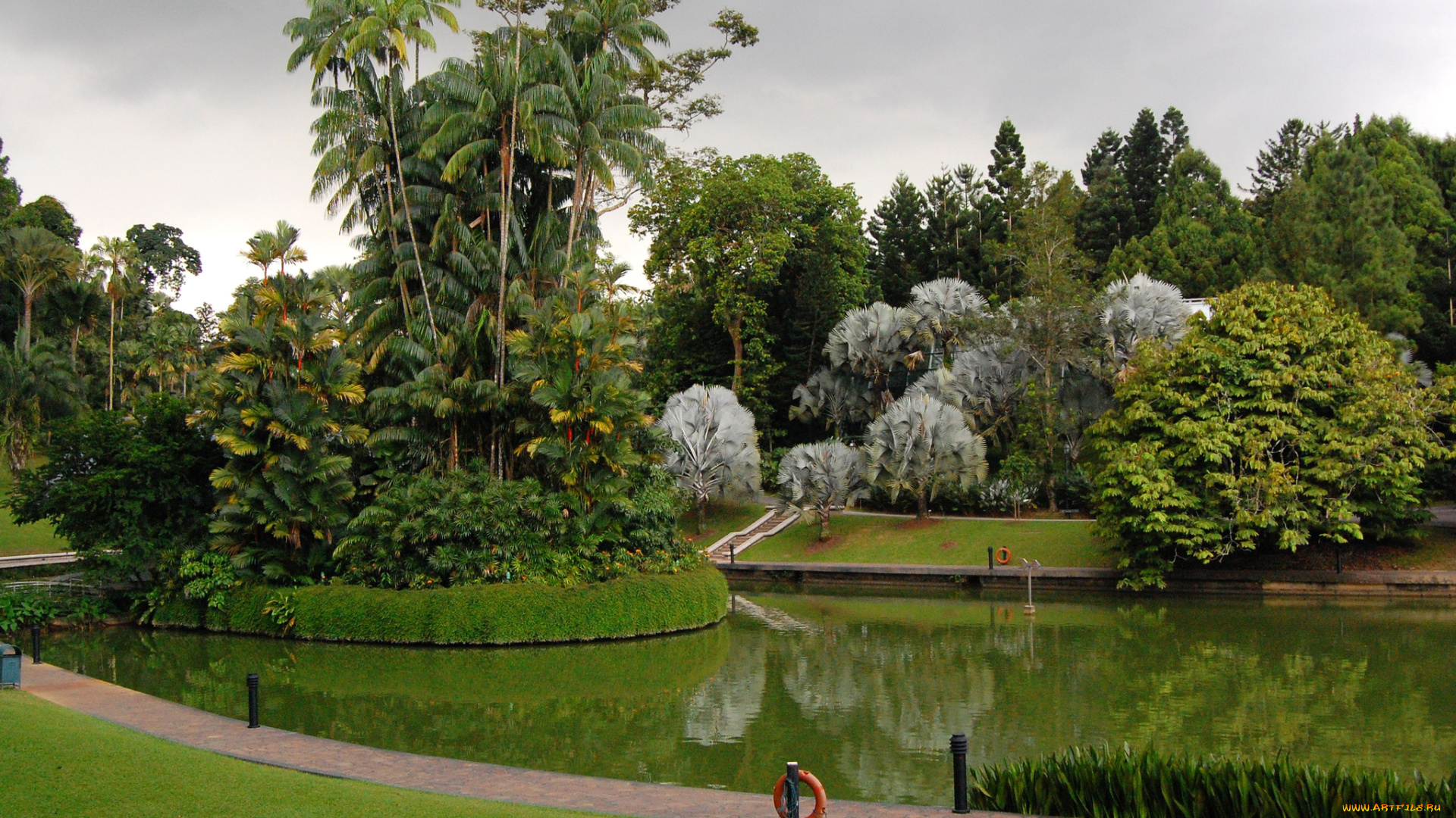 природа, парк, botanic, gardens, сингапур, дизайн, пальмы, газон, пруд, трава, деревья