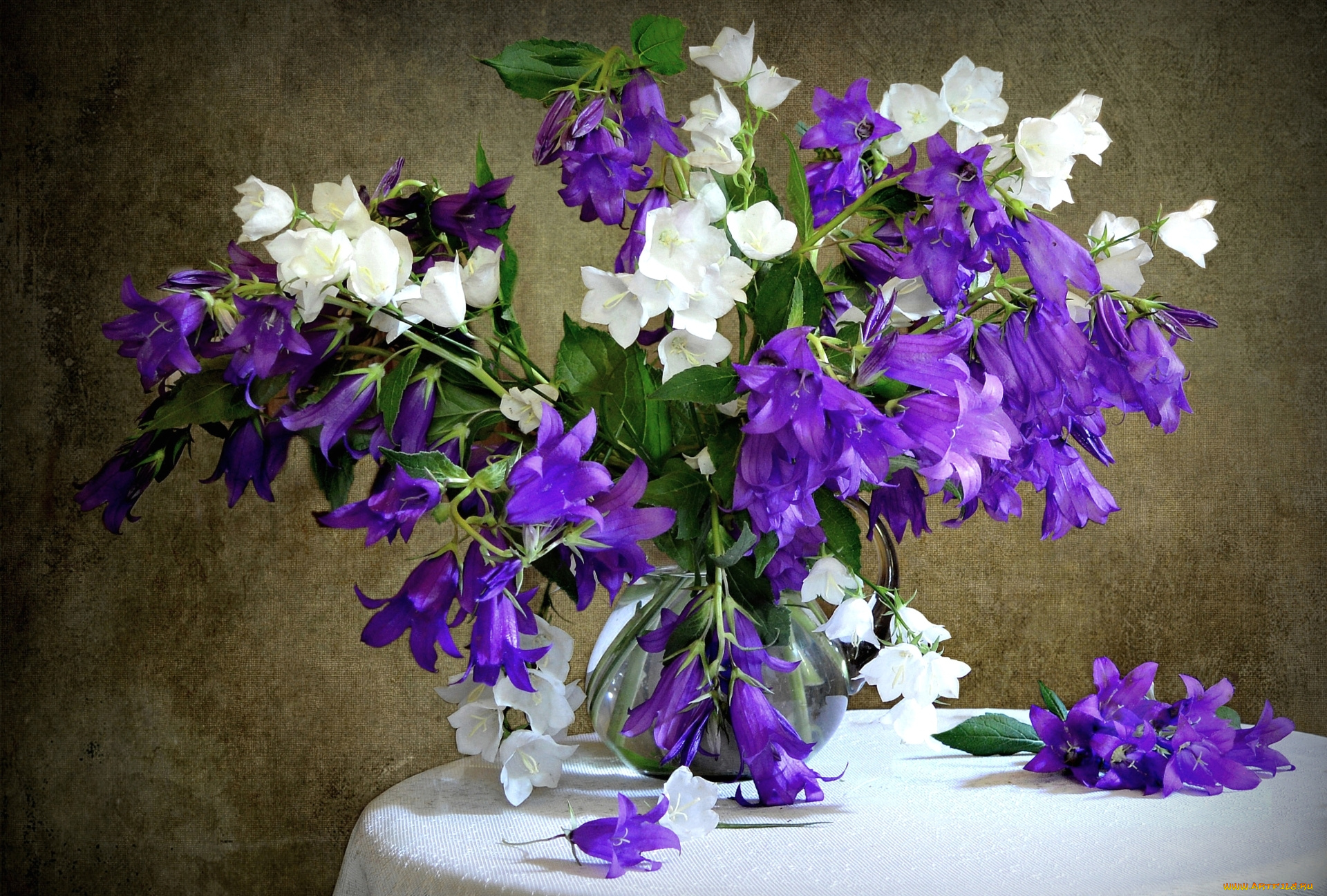 цветы, колокольчики, букет, белый, фиолетовый
