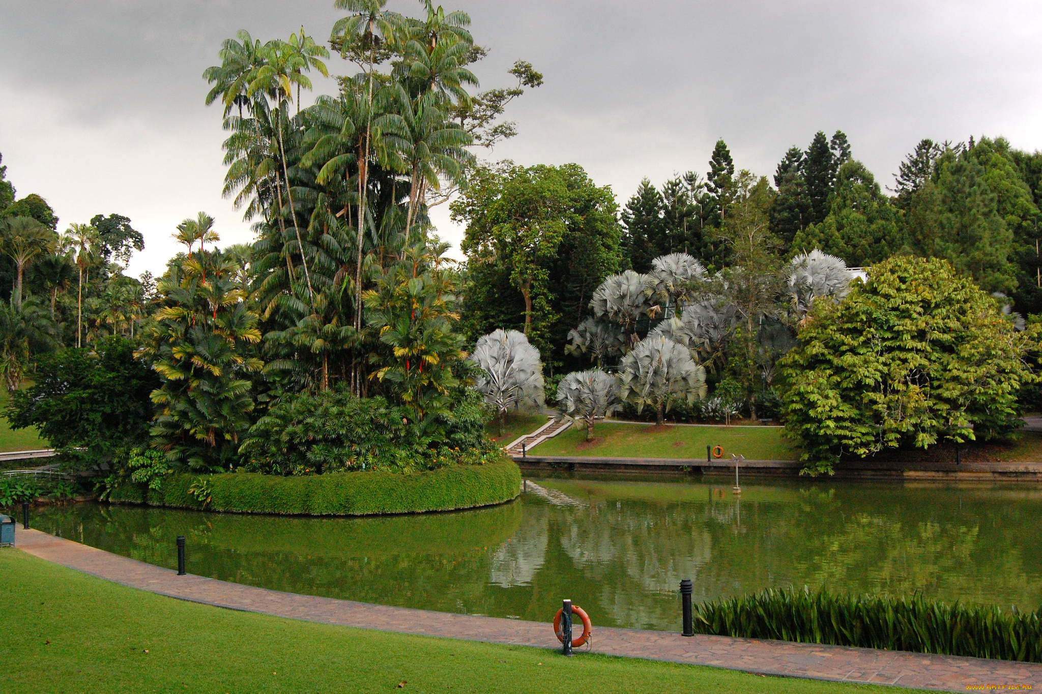 природа, парк, botanic, gardens, сингапур, дизайн, пальмы, газон, пруд, трава, деревья