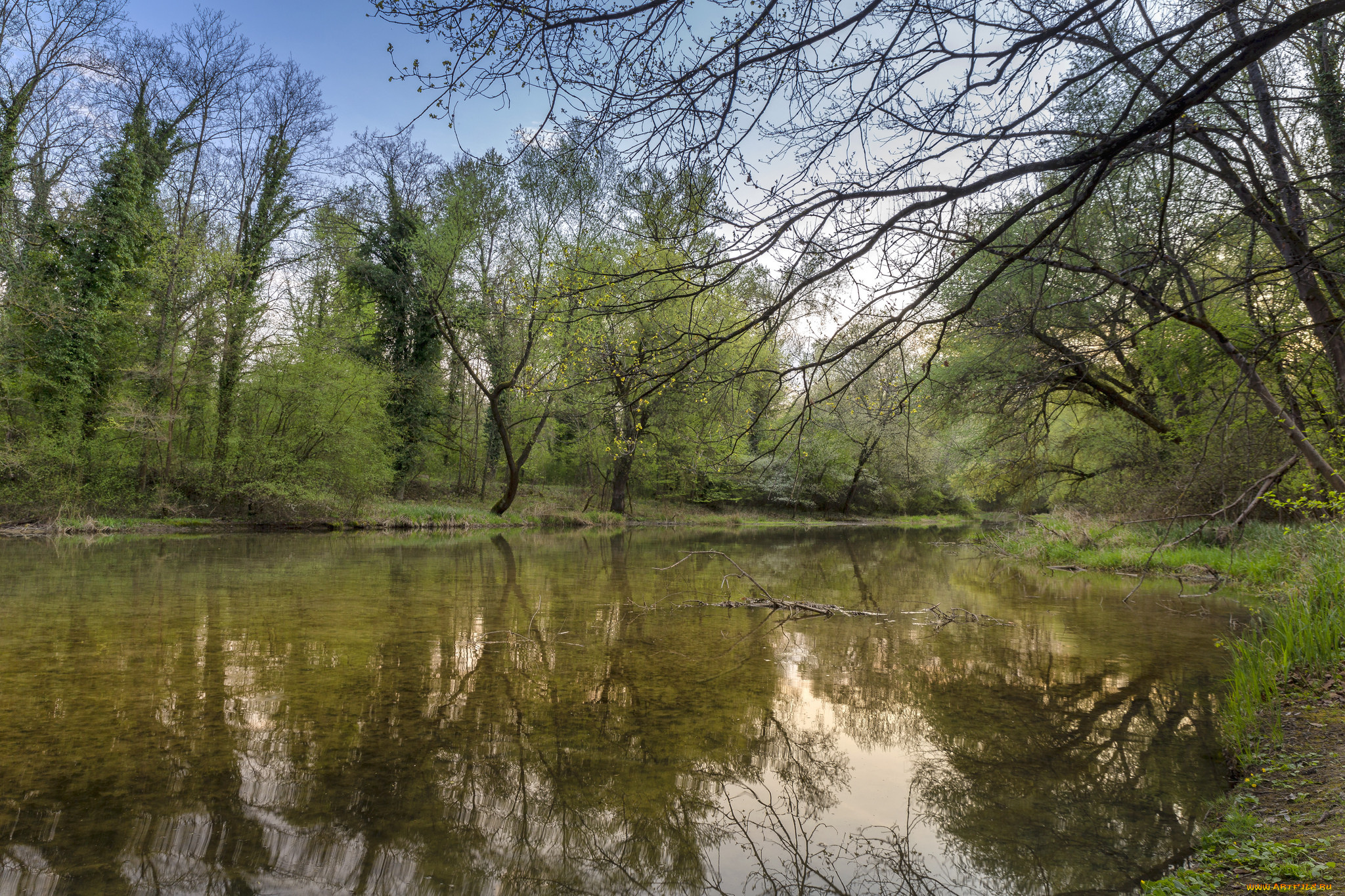 природа, реки, озера, лес, река