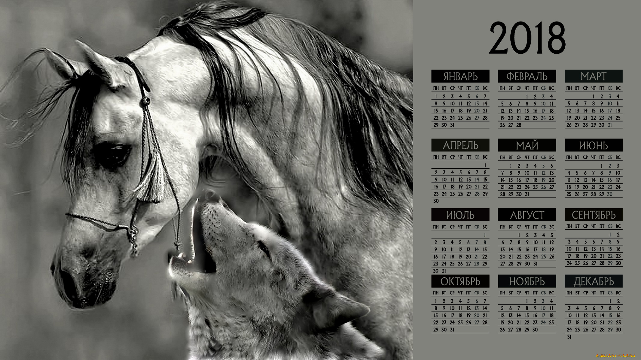 календари, компьютерный, дизайн, лошадь, волк, морда