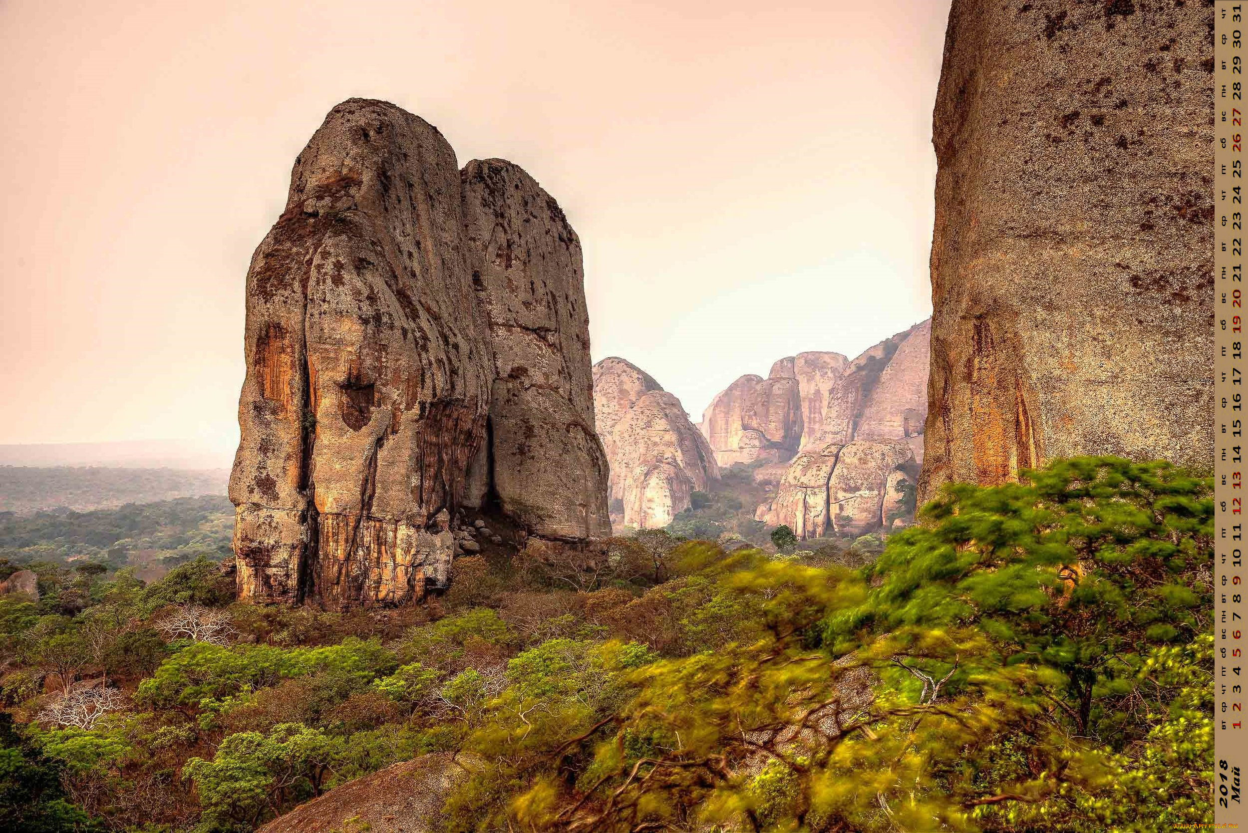 календари, природа, камень, растения