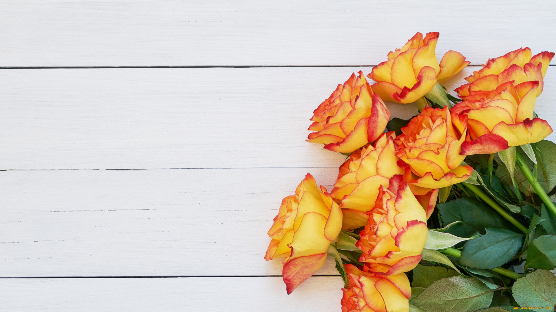 цветы, розы, букет, wood, flowers, orange, roses