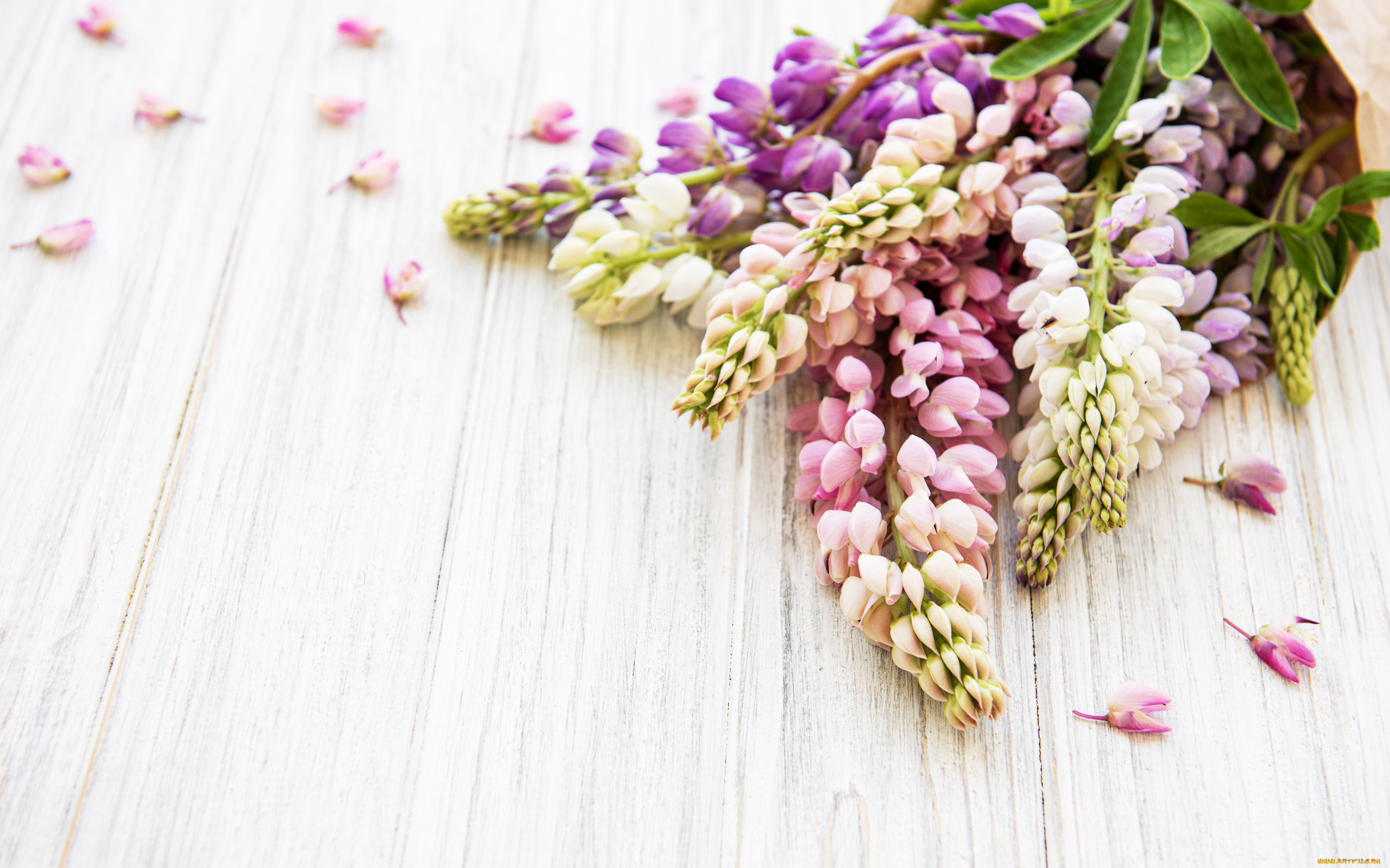 цветы, люпин, wood, pink, flowers, люпины, lupine