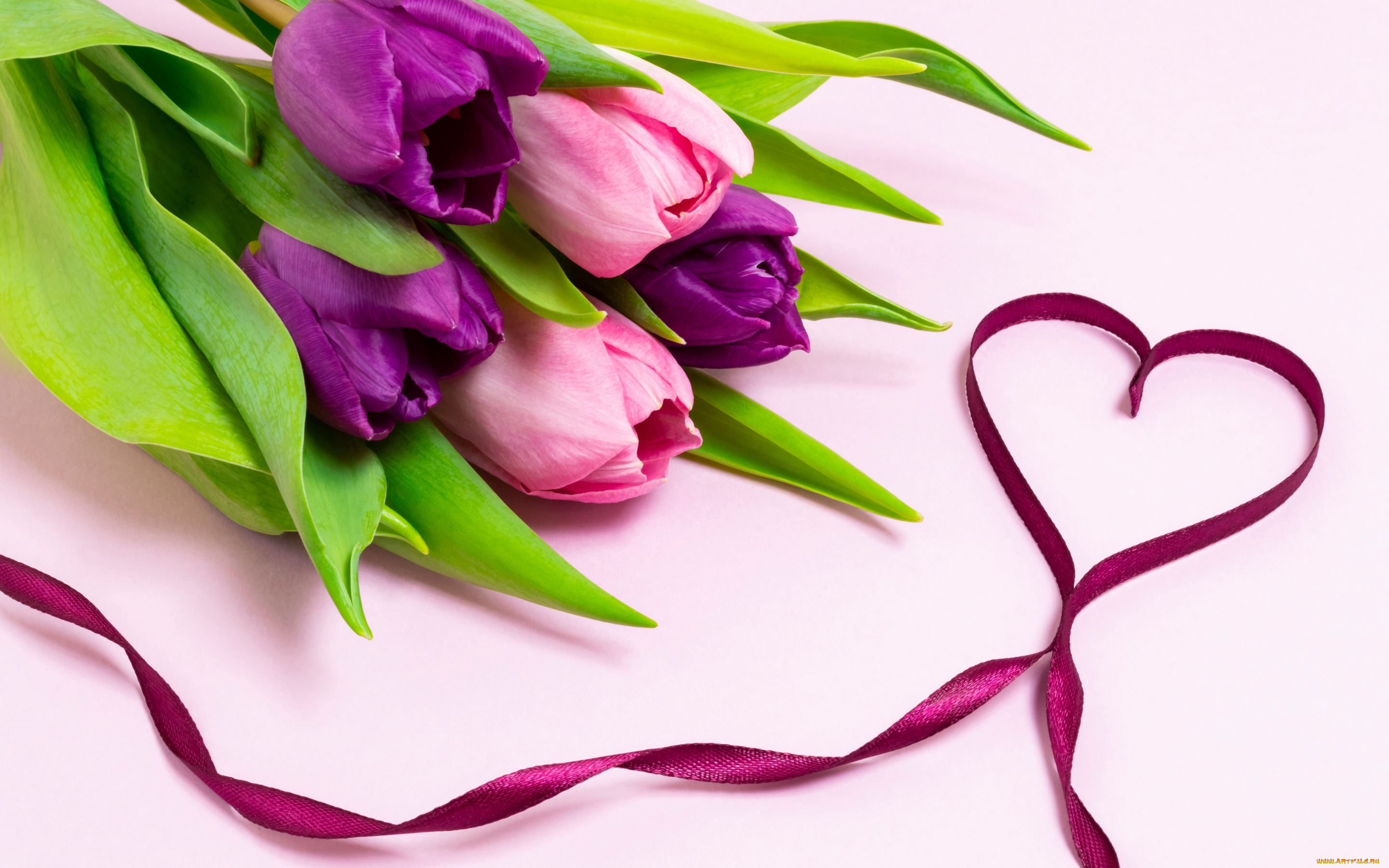 праздничные, день, святого, валентина, , сердечки, , любовь, любовь, цветы, сердце, букет, лента, тюльпаны, love, heart, pink, flowers, romantic, tulips, purple, ribbon