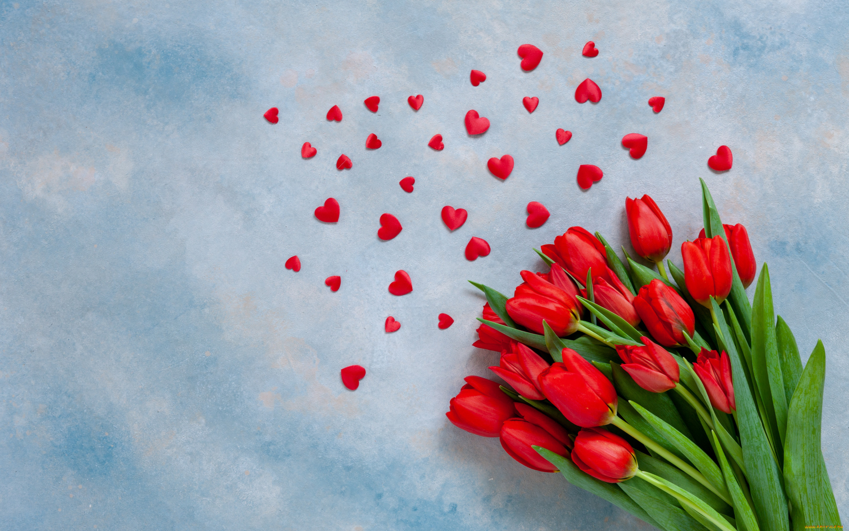 праздничные, день, святого, валентина, , сердечки, , любовь, любовь, сердечки, тюльпаны, red, love, romantic, hearts, tulips
