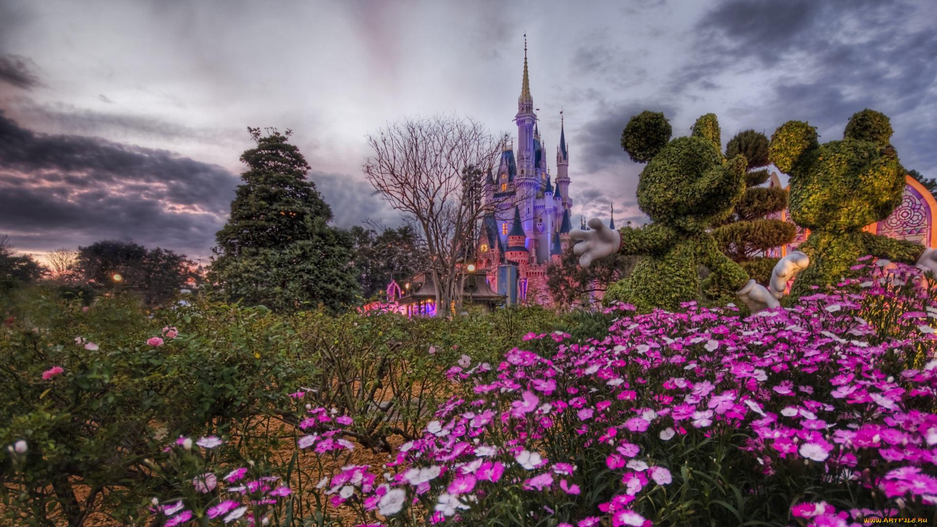 города, диснейленд, florida, disneyworld