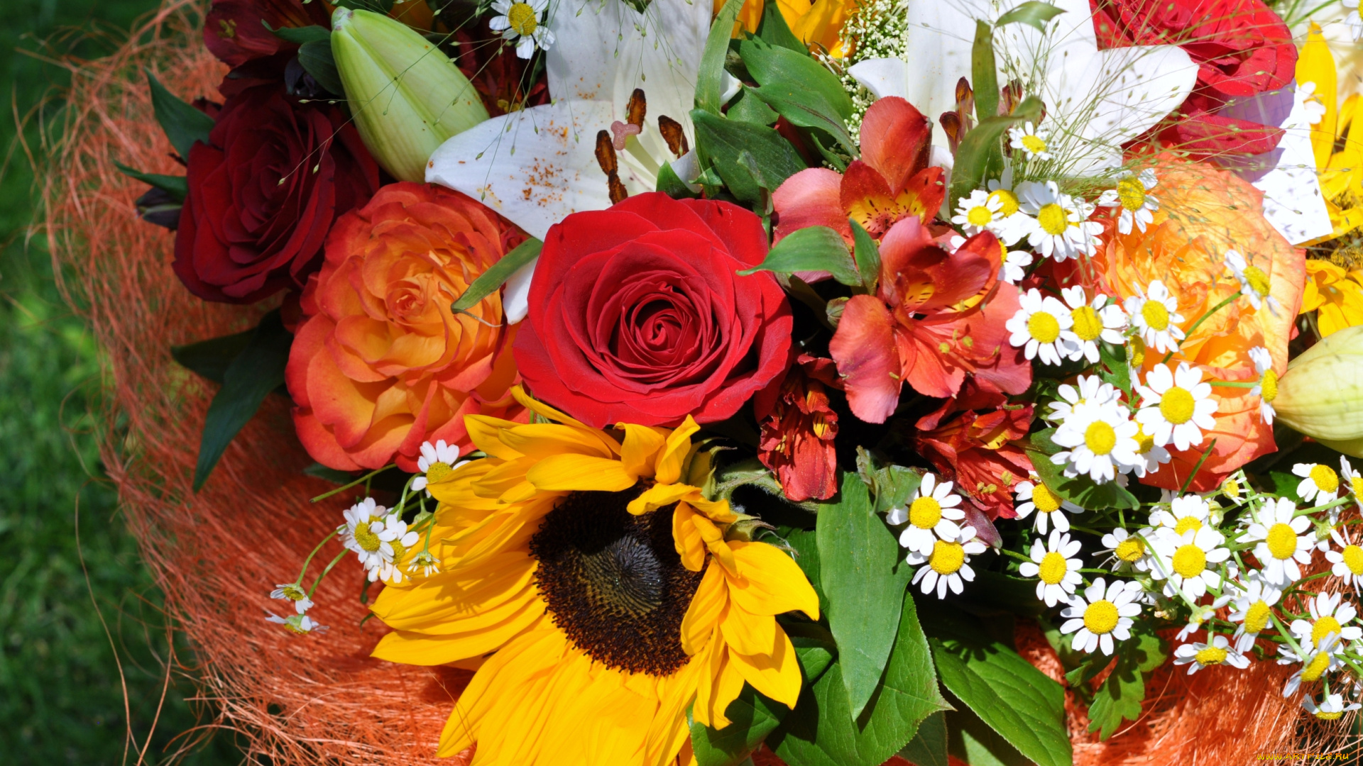 цветы, букеты, , композиции, подсолнухи, ромашки, лилии, розы