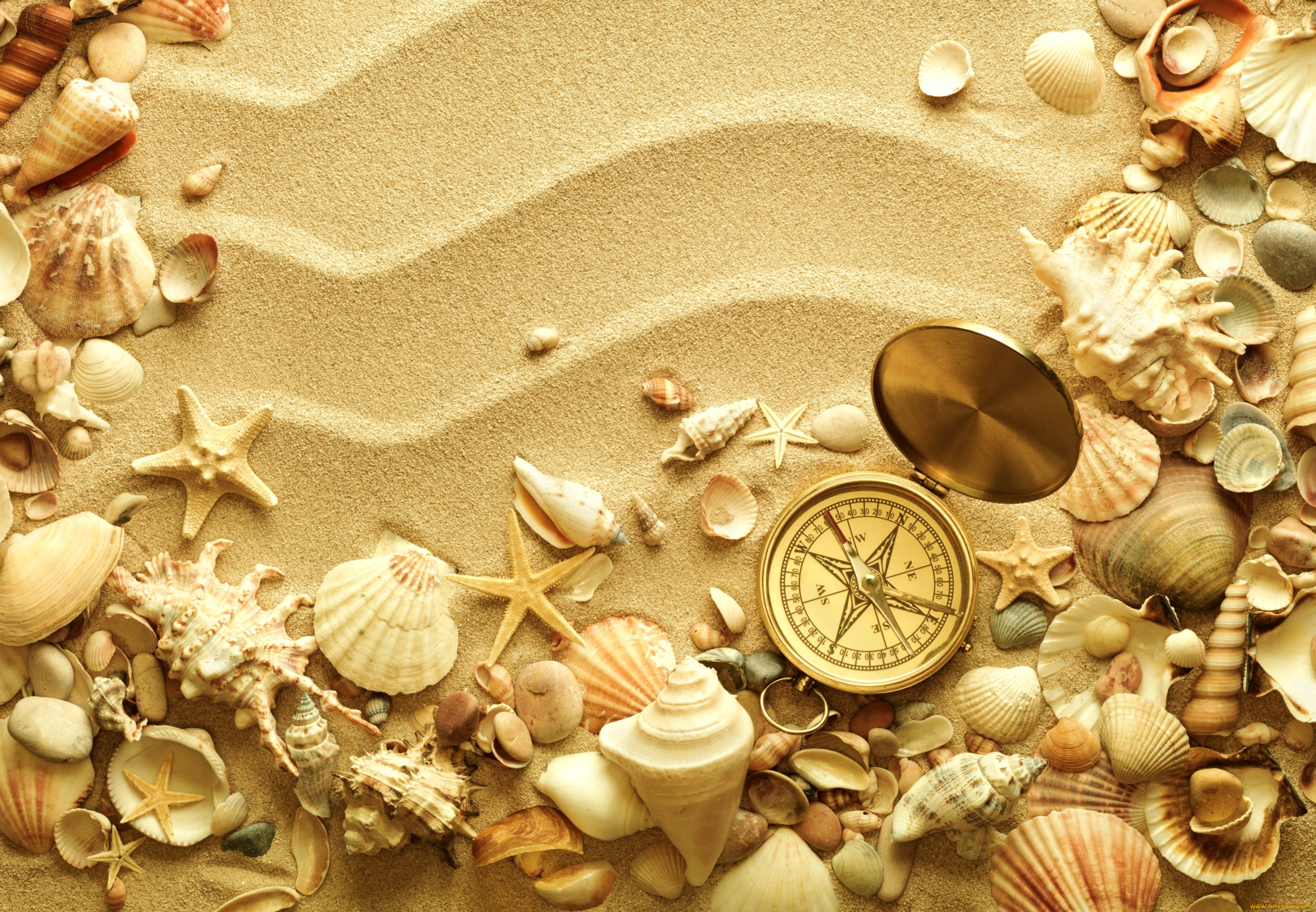 разное, ракушки, , кораллы, , декоративные, и, spa-камни, песок, компас