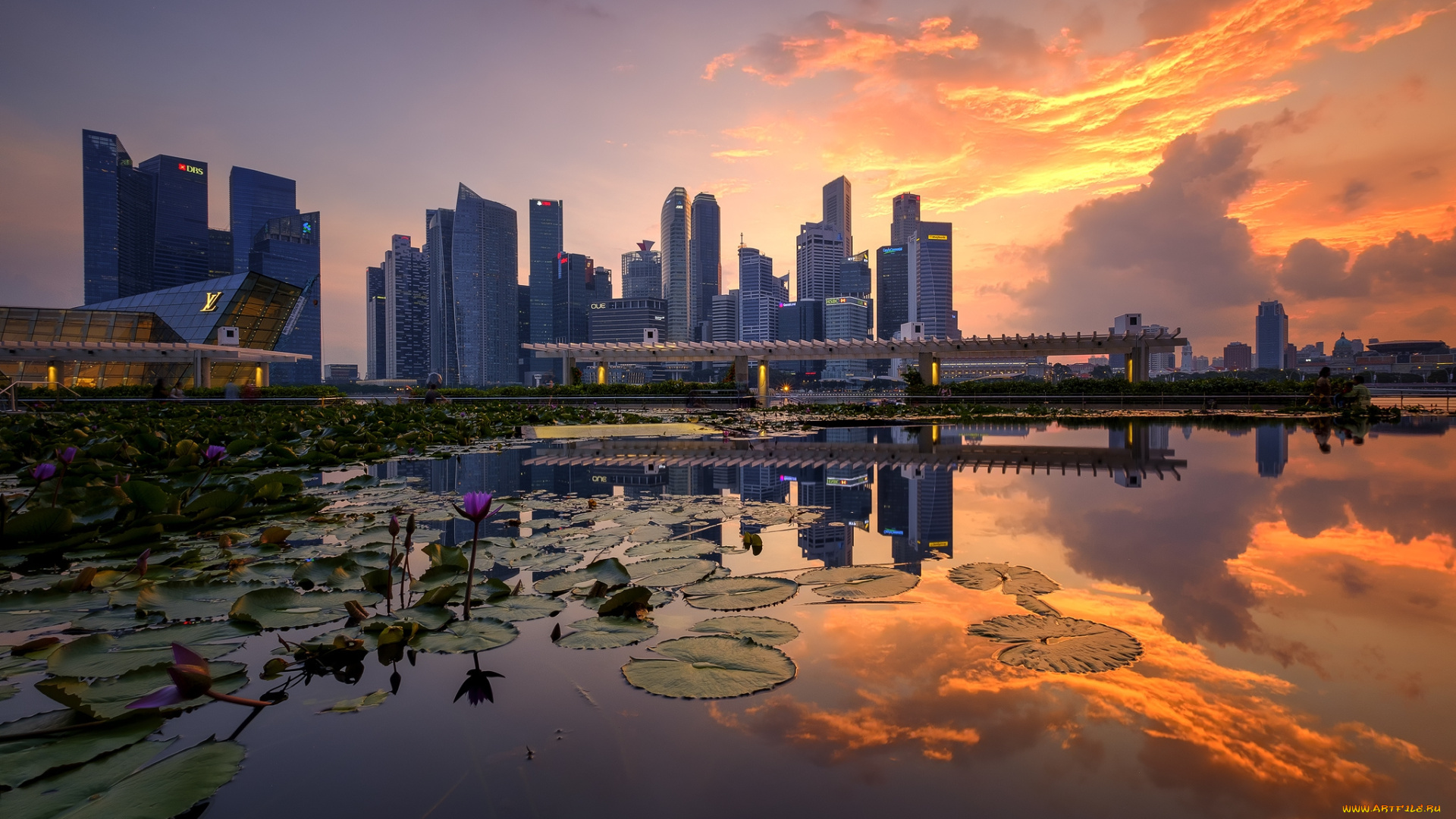 singapore, skyline, города, сингапур, , сингапур, небоскребы, панорама