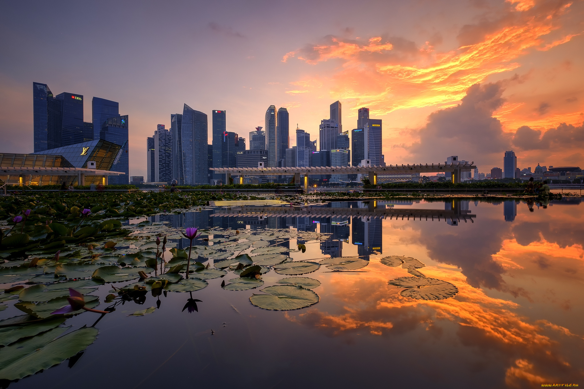 singapore, skyline, города, сингапур, , сингапур, небоскребы, панорама