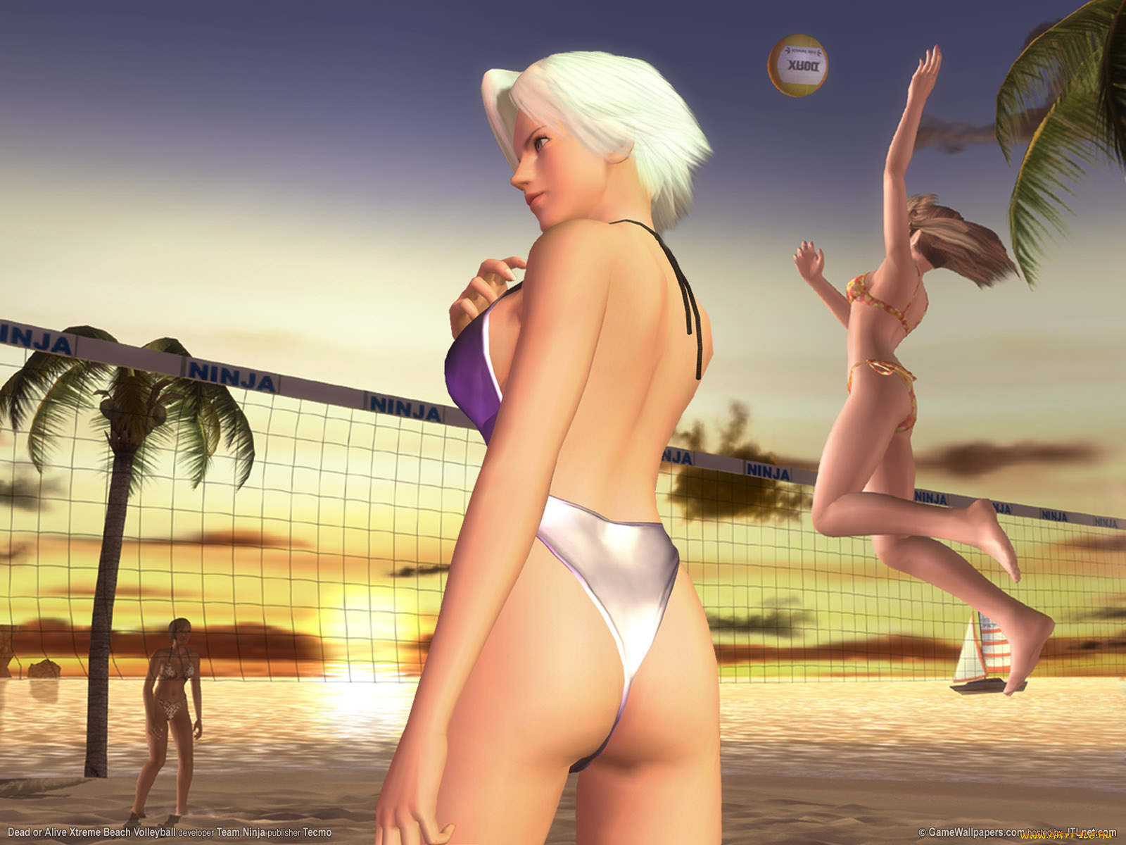 dead, or, alive, xtreme, beach, volleyball, видео, игры