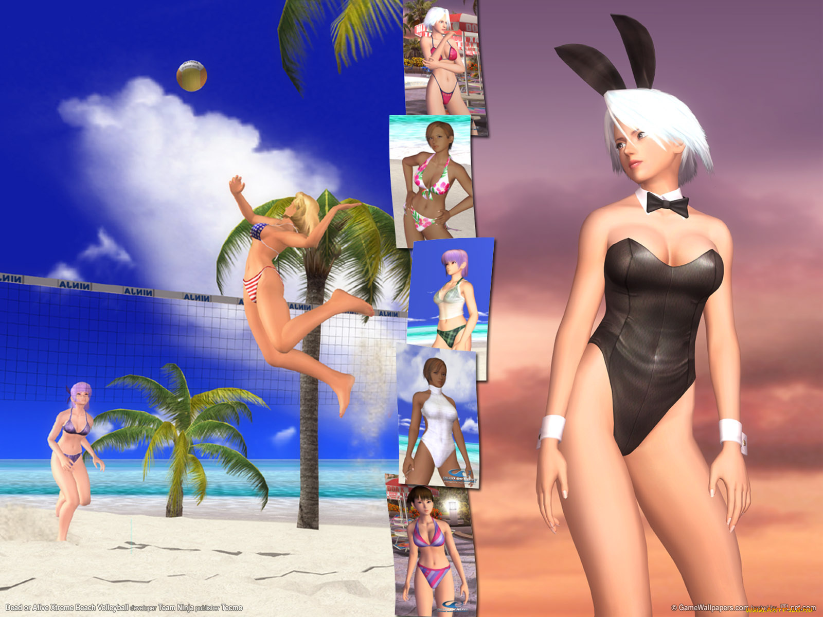 dead, or, alive, xtreme, beach, volleyball, видео, игры