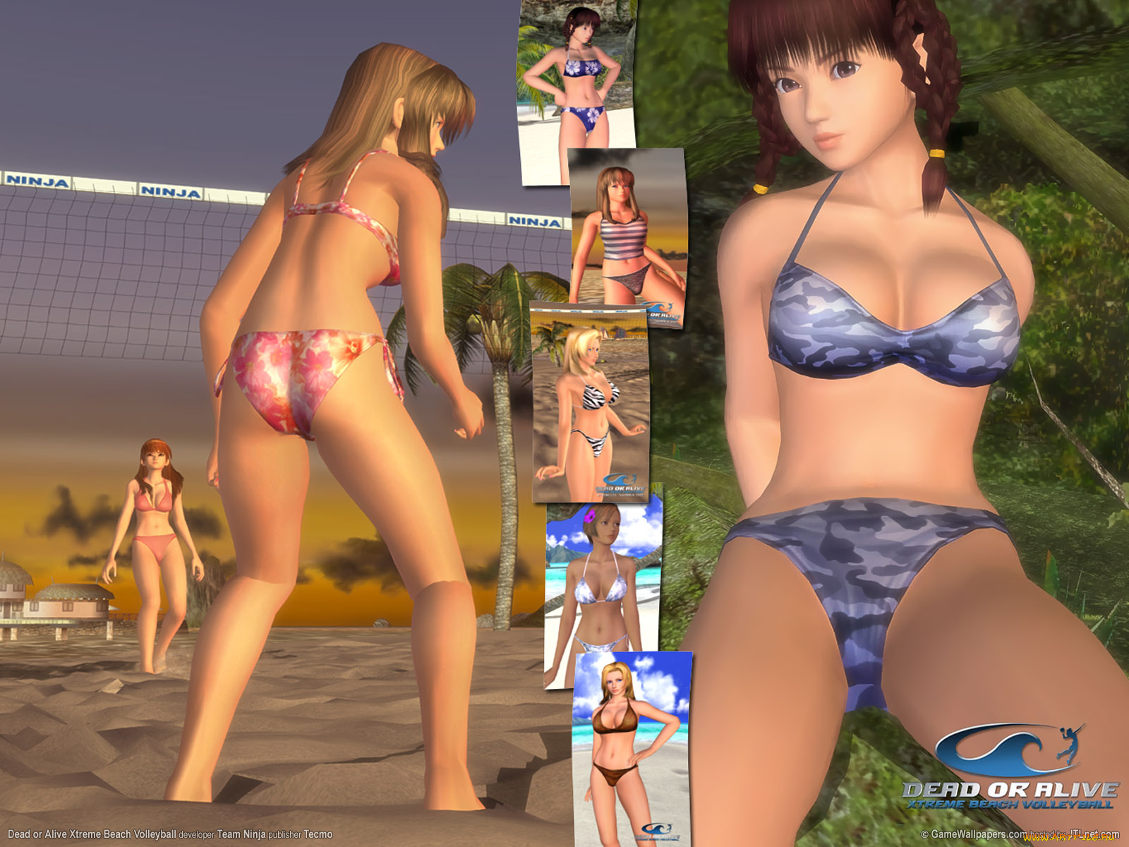 dead, or, alive, xtreme, beach, volleyball, видео, игры