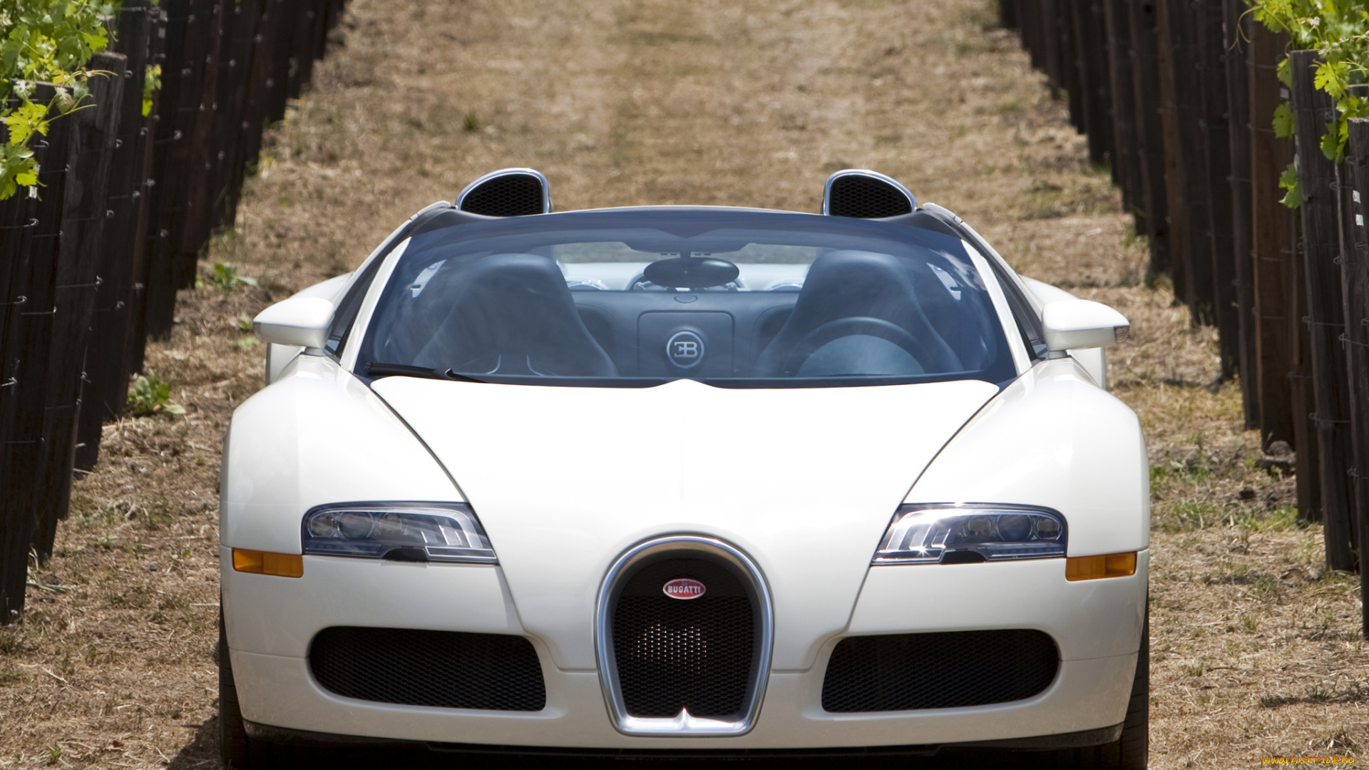 bugatti, veyron, grand, sport, roadster, автомобили