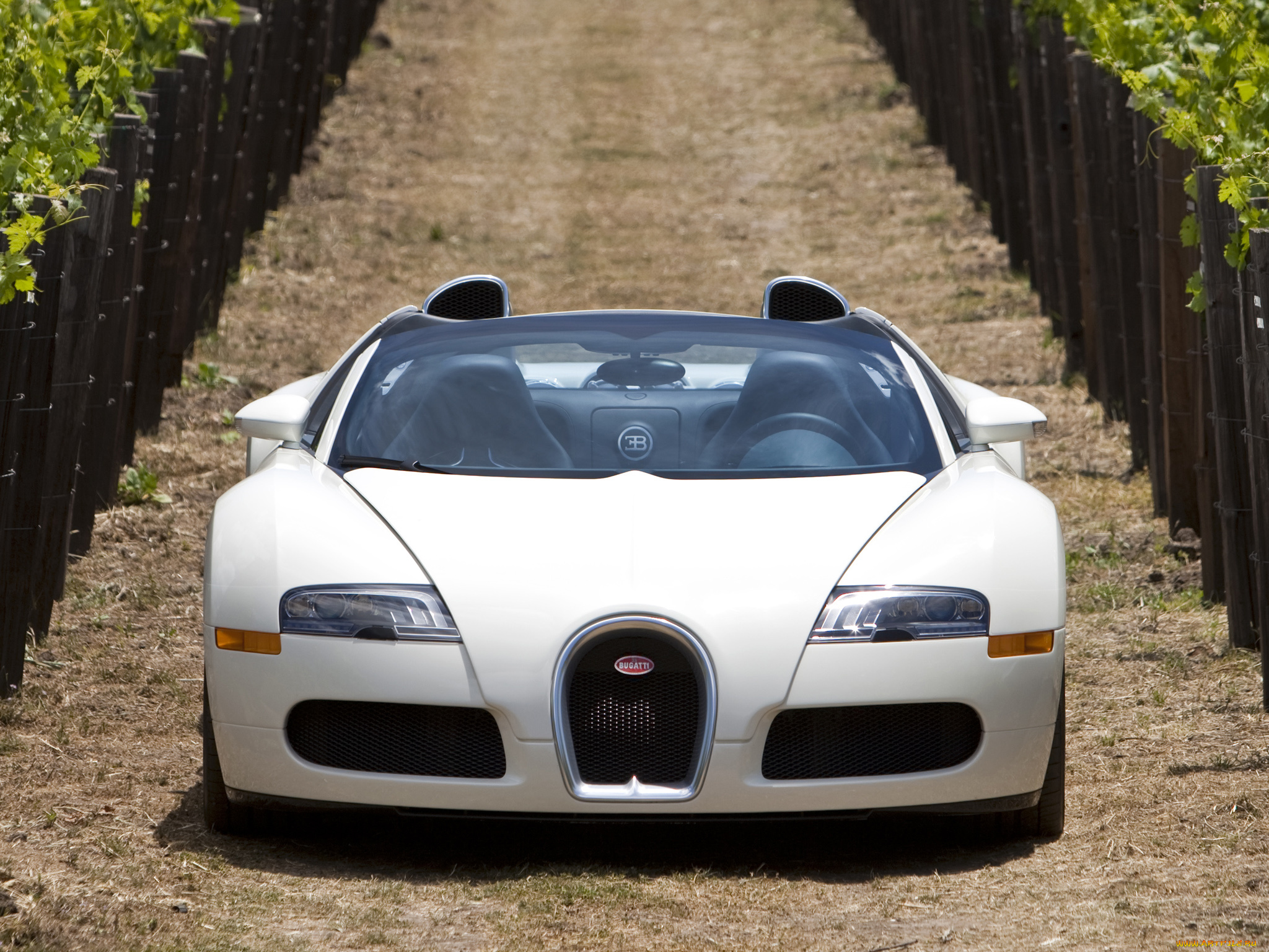 bugatti, veyron, grand, sport, roadster, автомобили