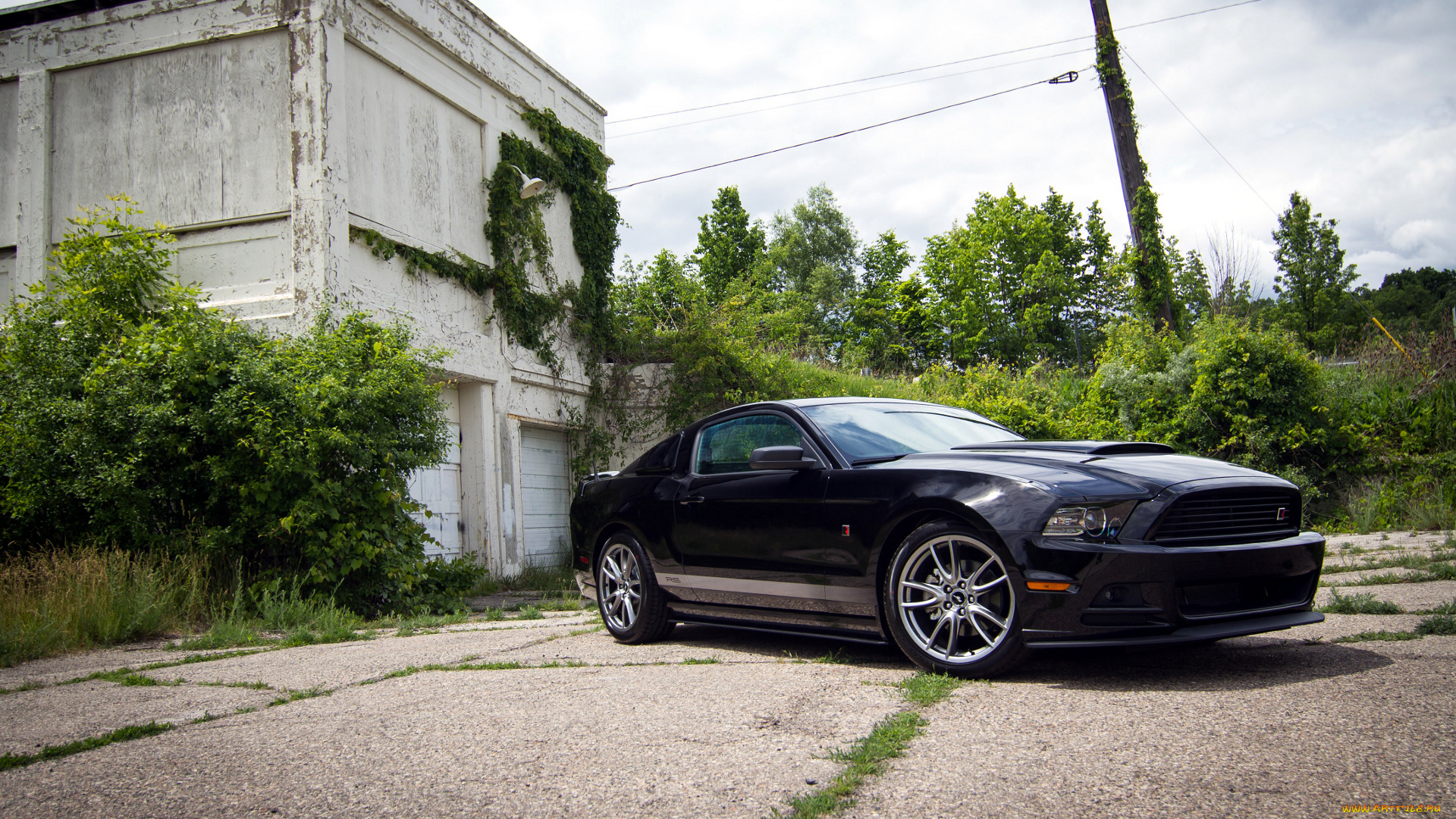 ford, mustang, автомобили, motor, company, сша