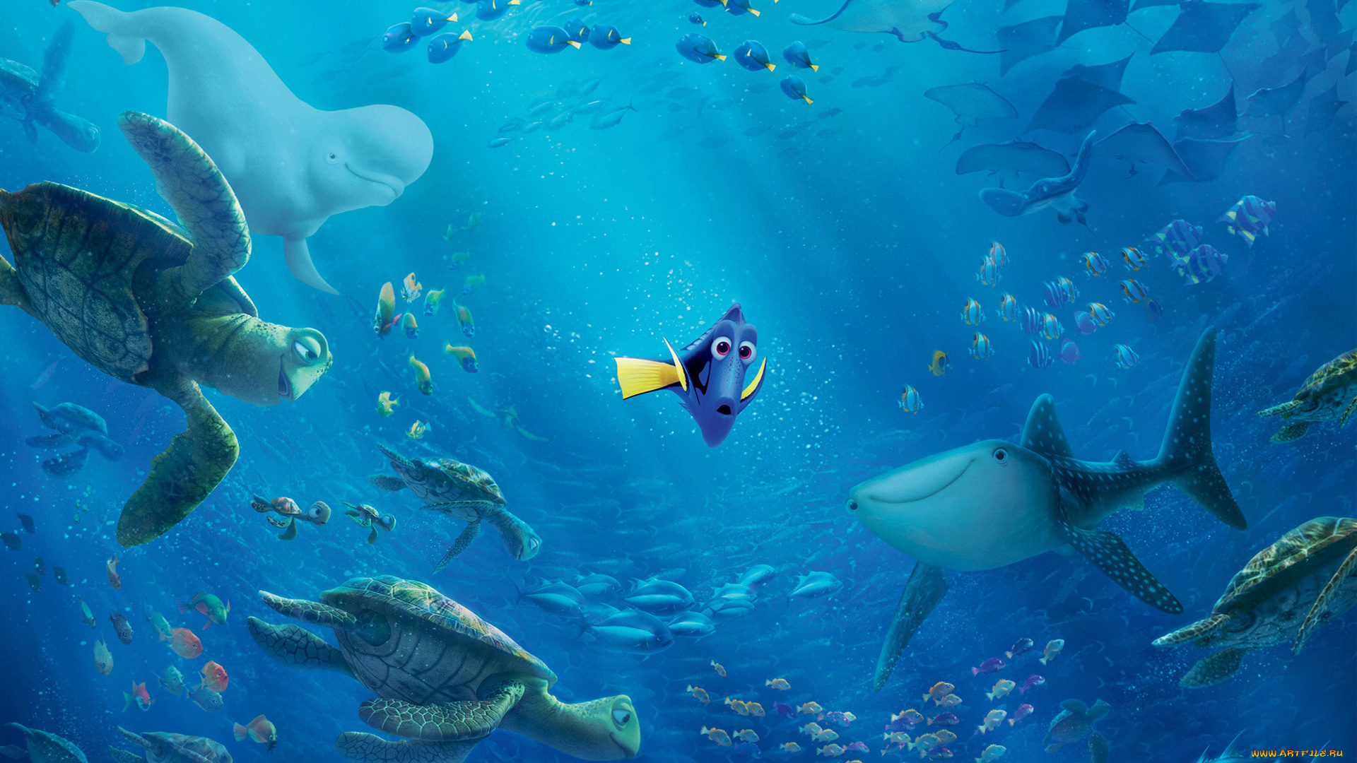 мультфильмы, finding, dory, finding, dory, pixar, disney