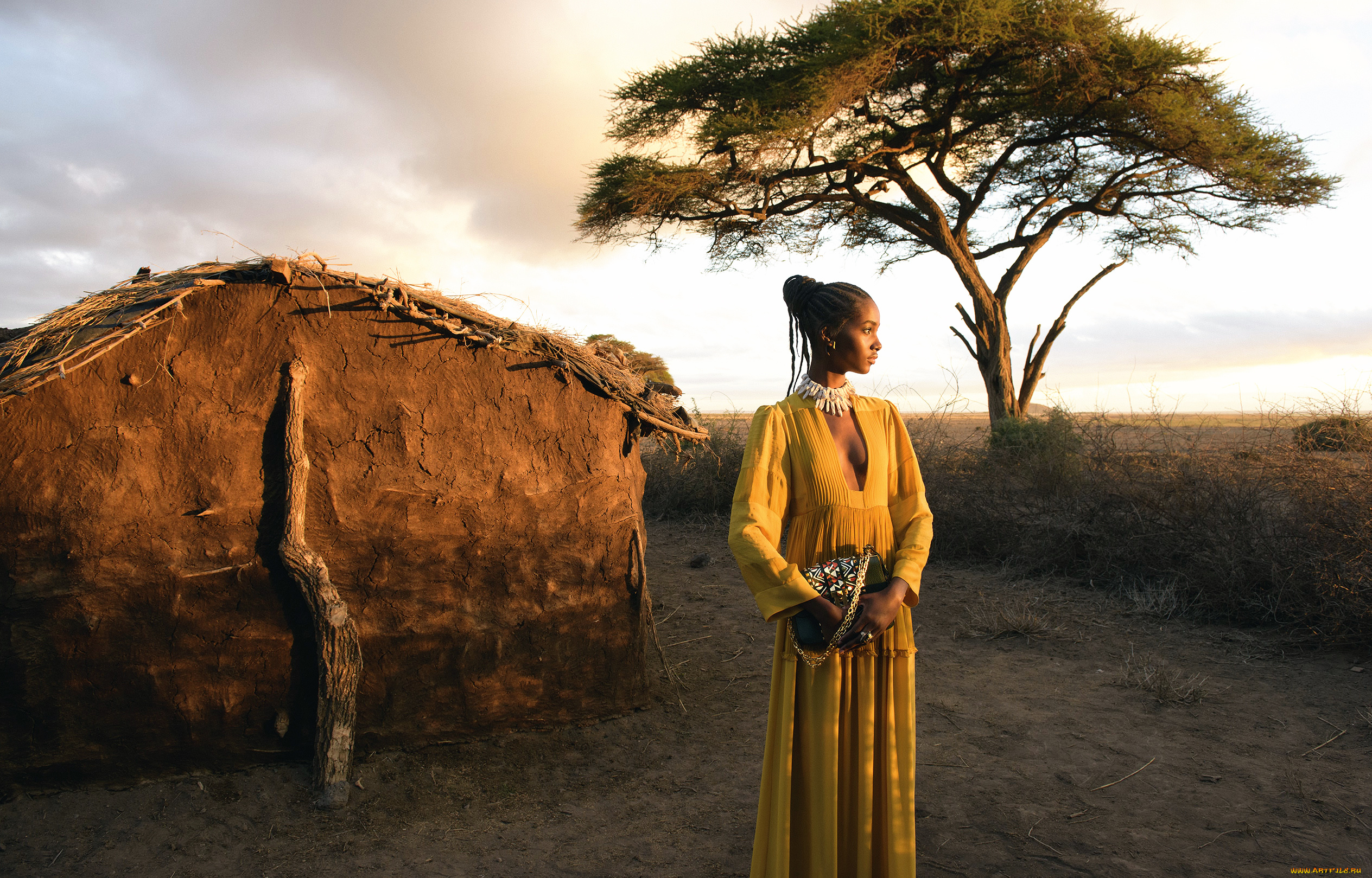 Звезды в африке ноябрь 2023. Стив МАККАРРИ National Geographic снимки. Steve MCCURRY пустыня.