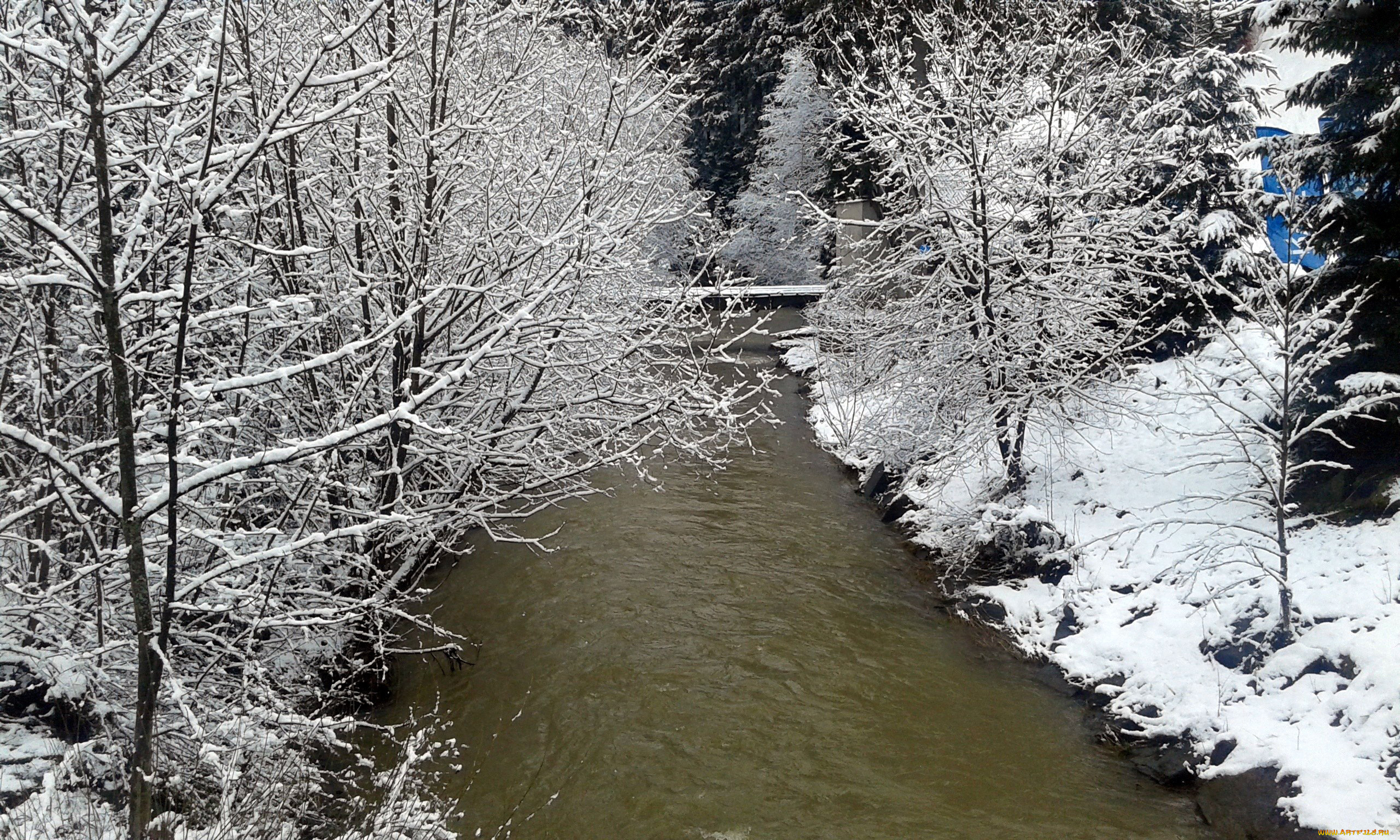 природа, зима, ручей, деревья, снег