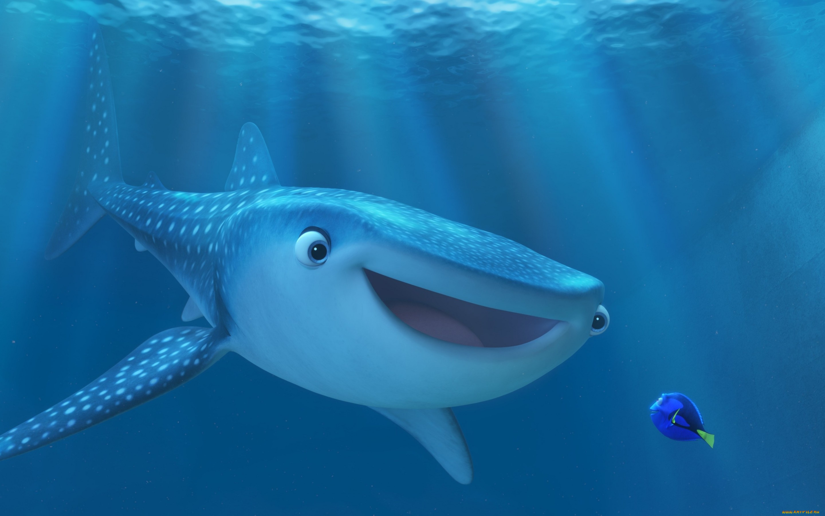 мультфильмы, finding, dory, finding, dory, pixar, disney