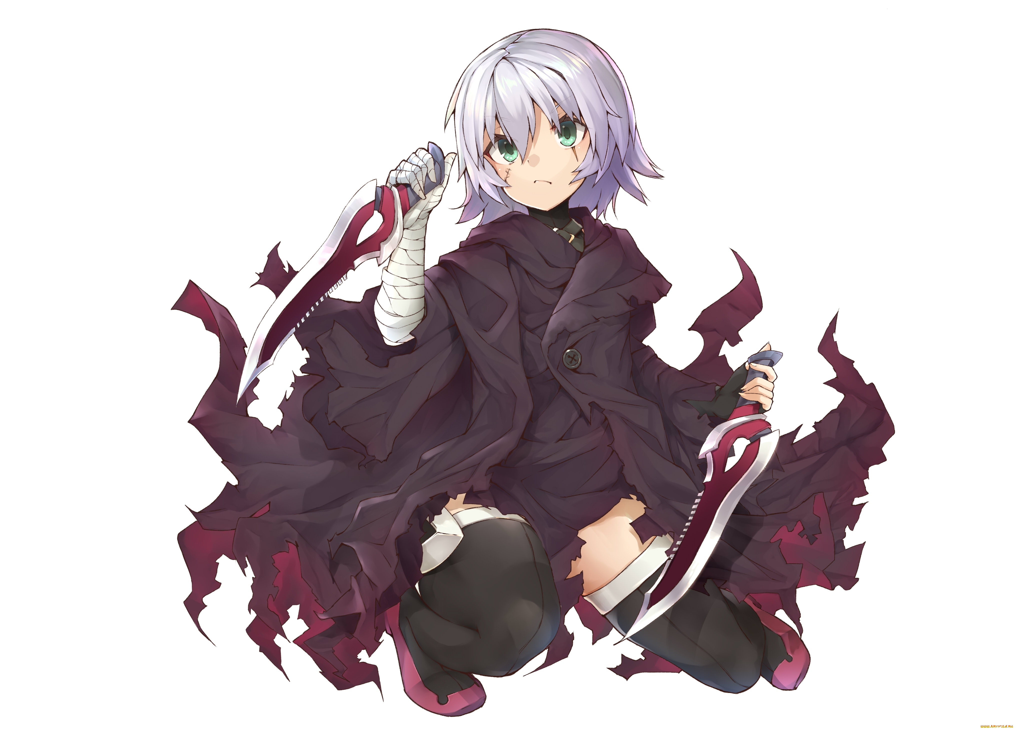 аниме, fate, stay, night, black, assassin