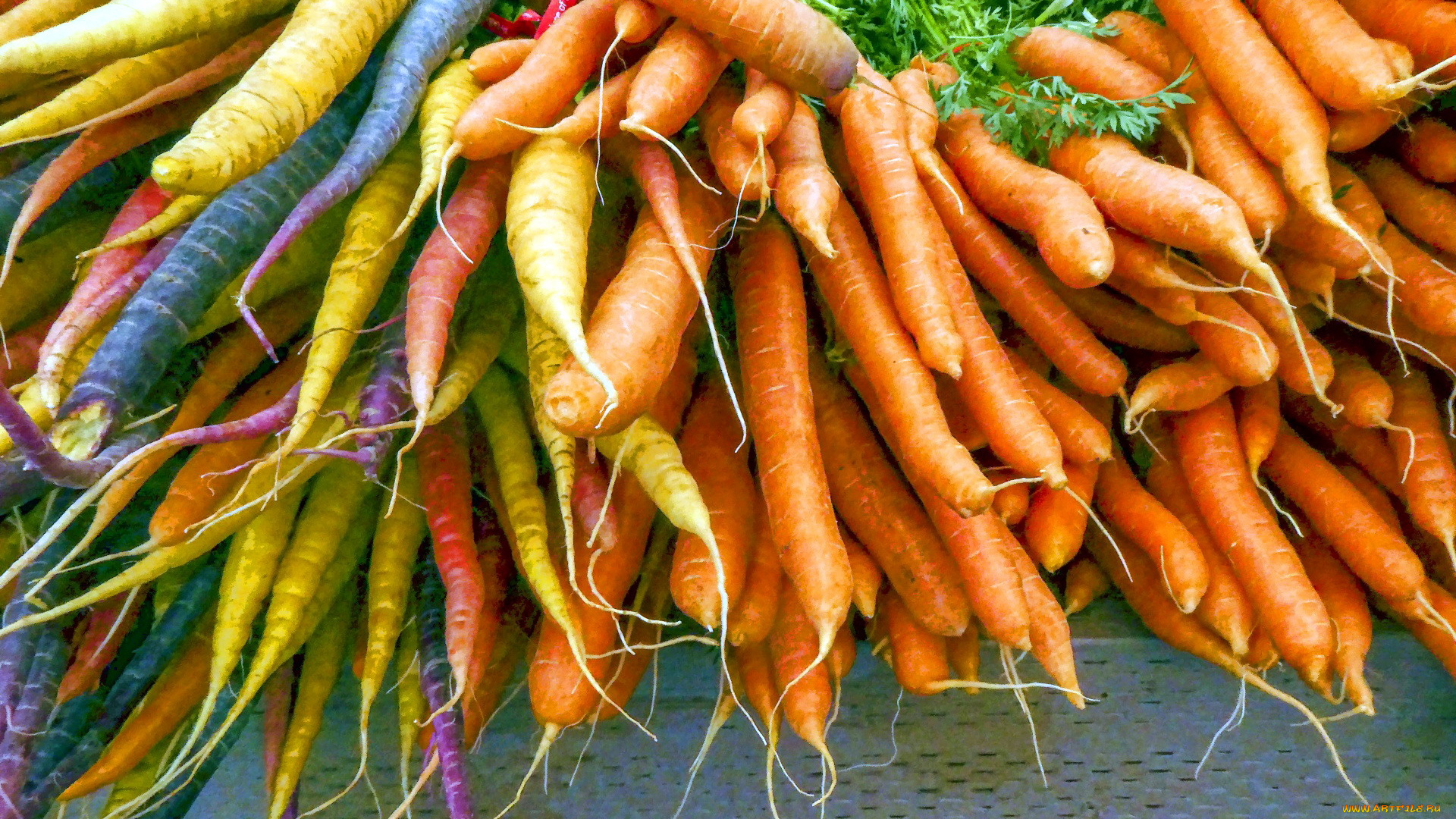еда, морковь, корнеплоды