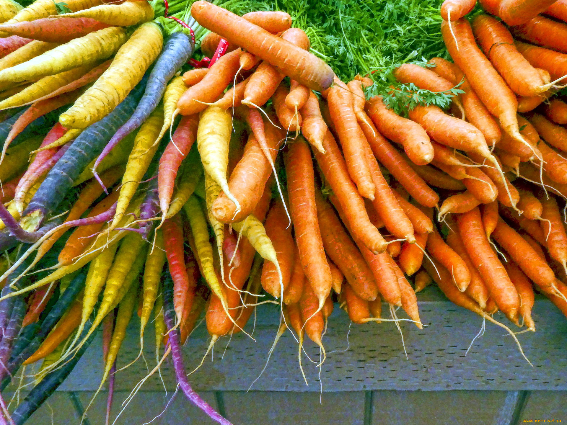 еда, морковь, корнеплоды