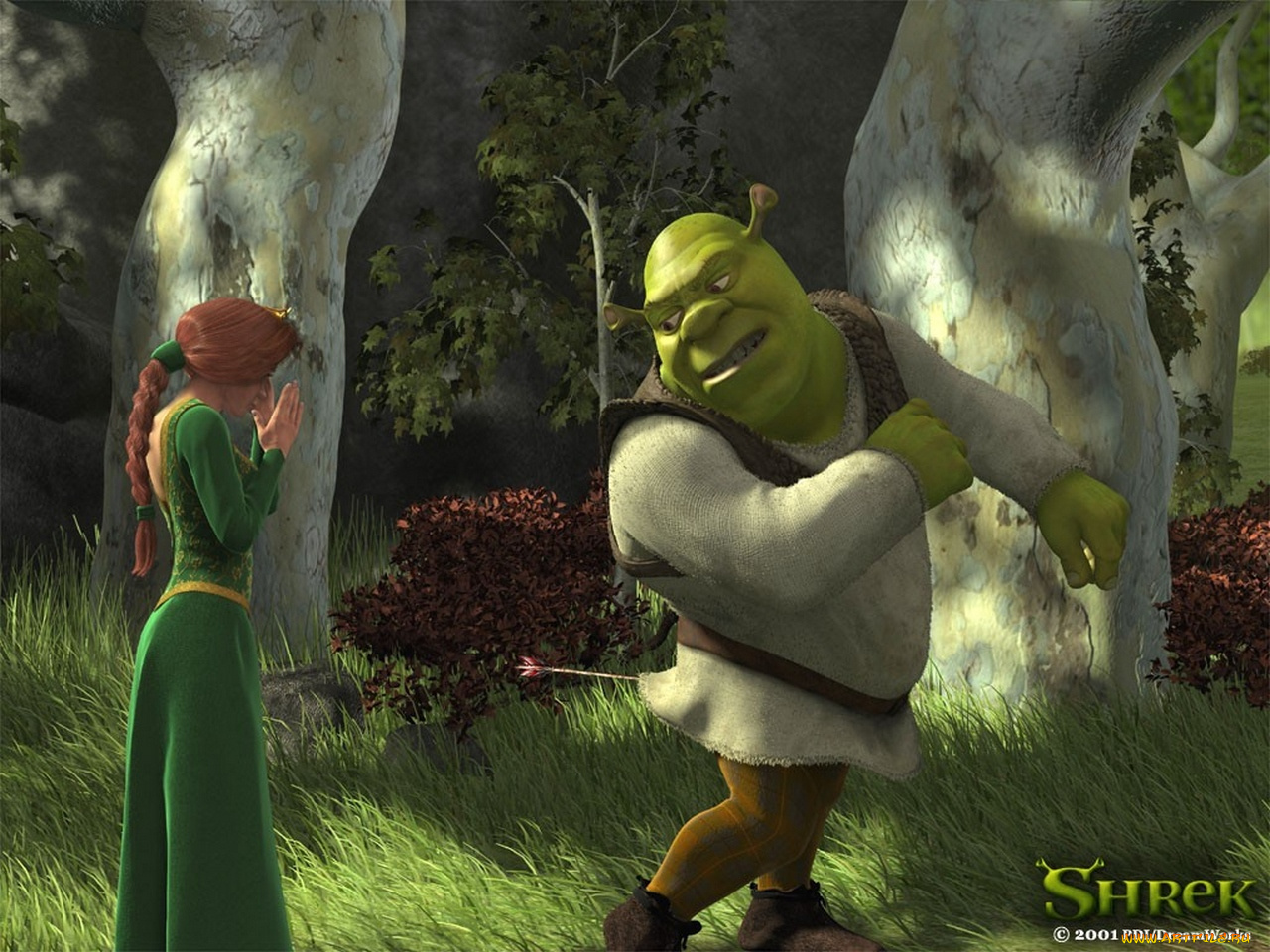 мультфильмы, shrek