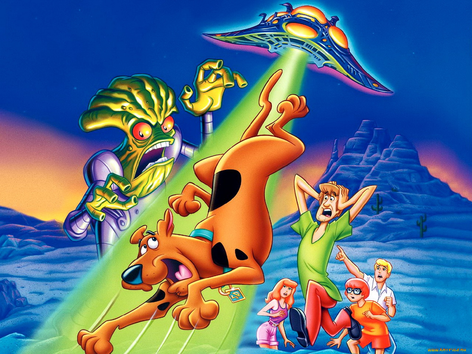 мультфильмы, scooby, doo