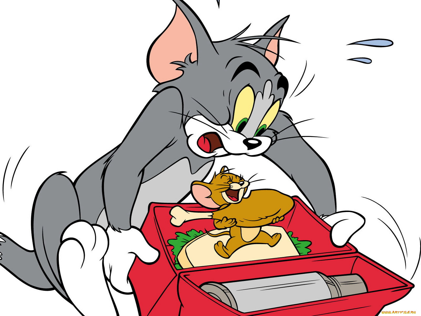 мультфильмы, tom, and, jerry