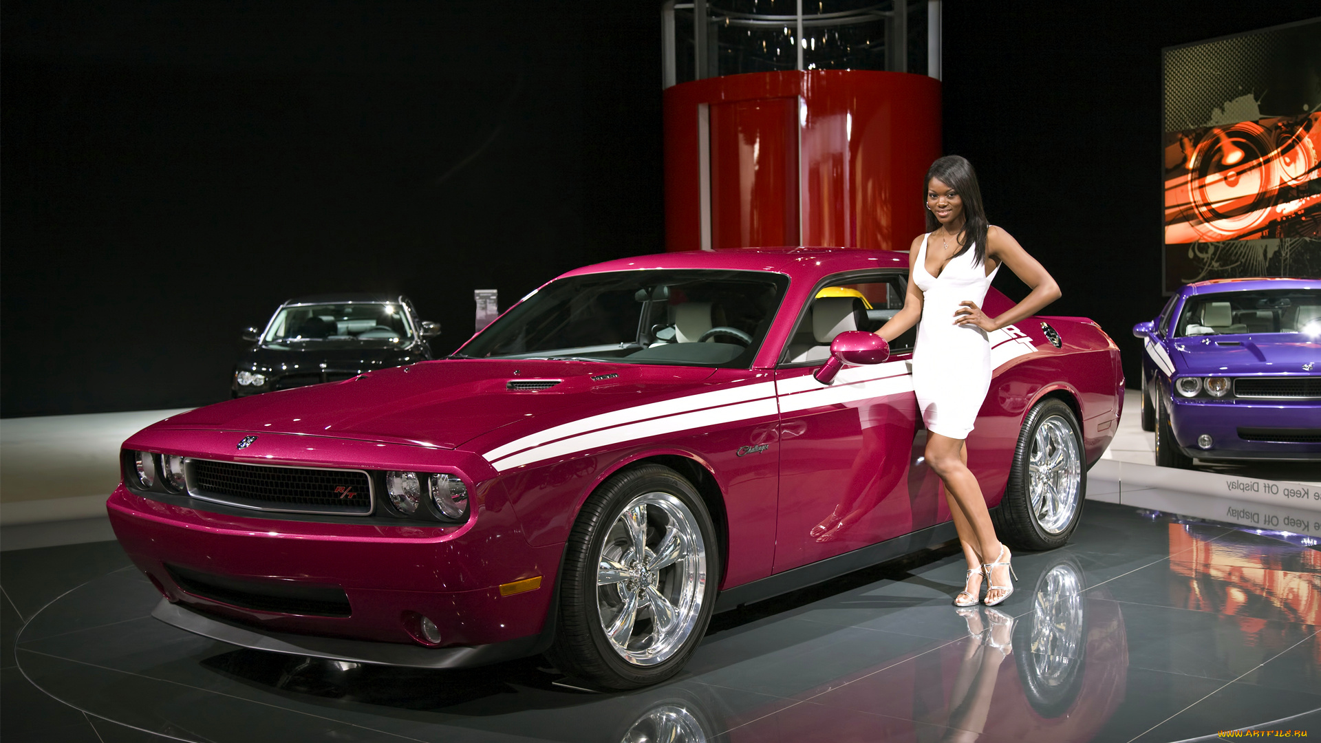 dodge, challenger, автомобили, авто, девушками, chrysler, group, llc, сша