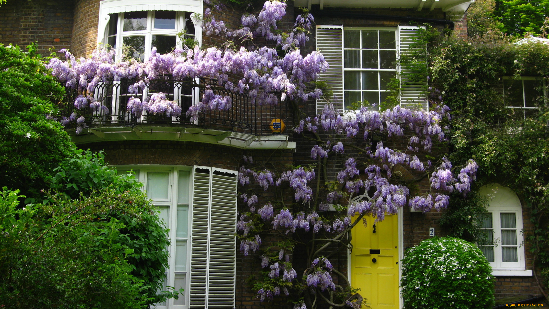 england, hampstead, города, здания, дома, кусты, цветы, дом