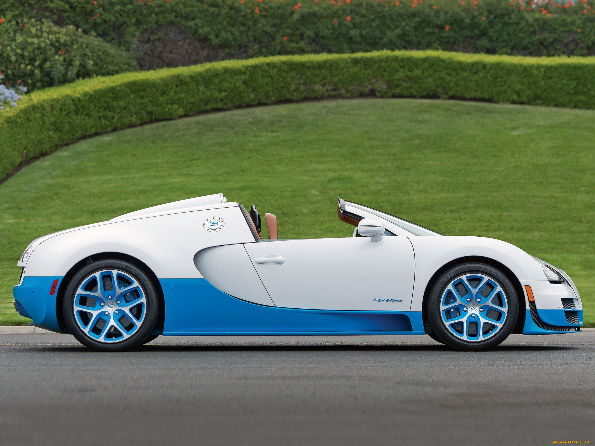 автомобили, bugatti, 2013г, californien, le, ciel, vitesse, roadster, veyron, grand, sport