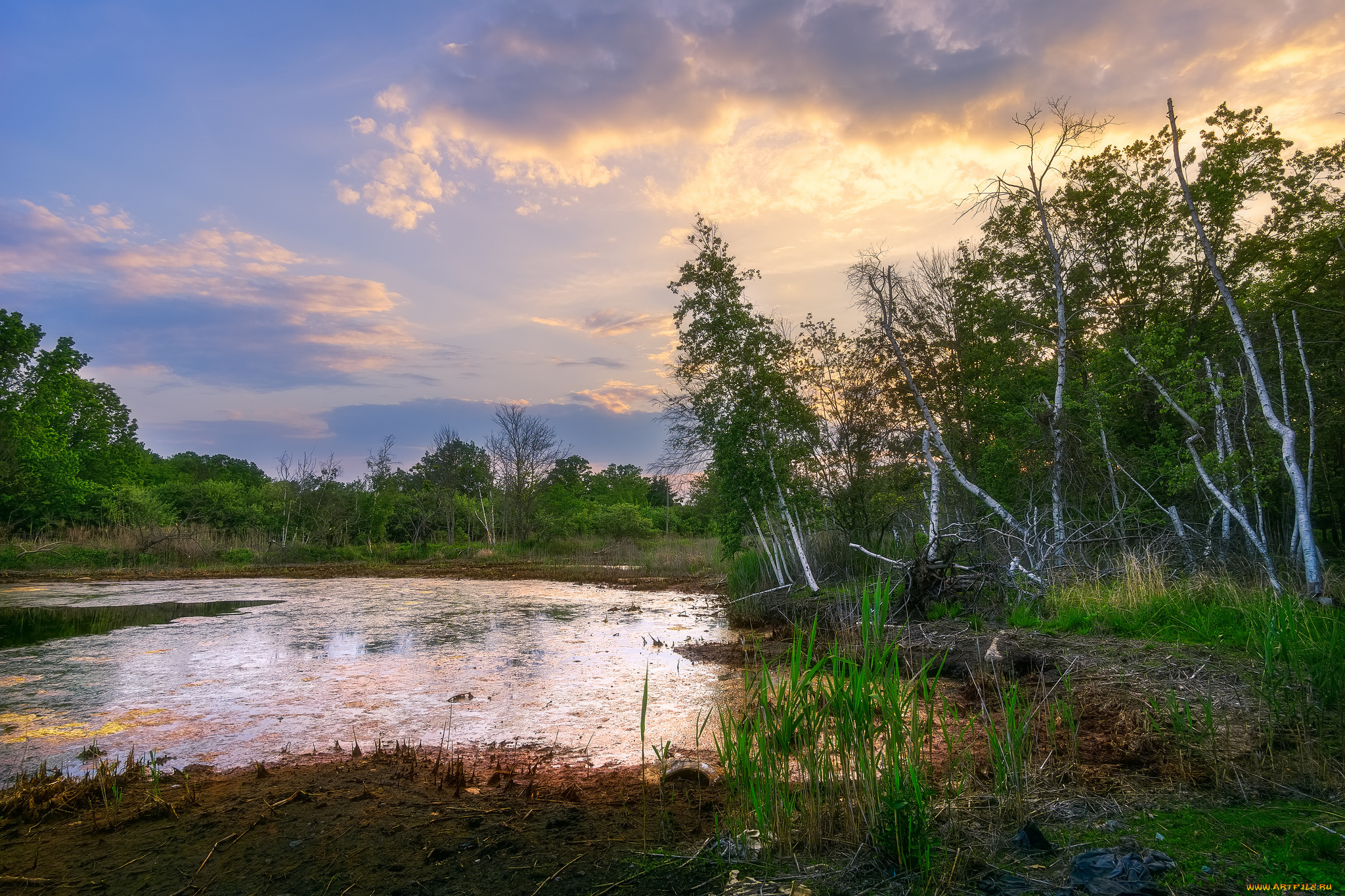 природа, реки, озера, река, лес