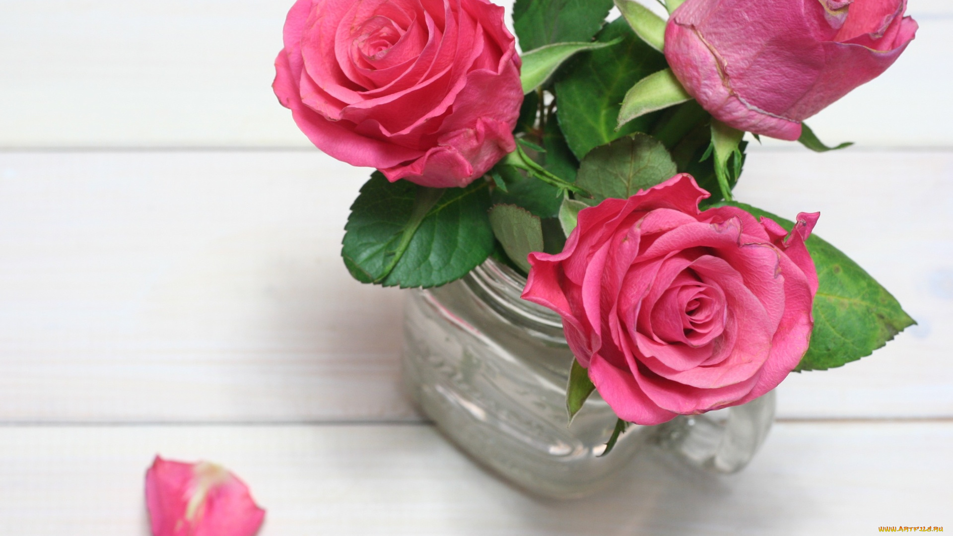 цветы, розы, лепесток, розовый, ваза, бутоны