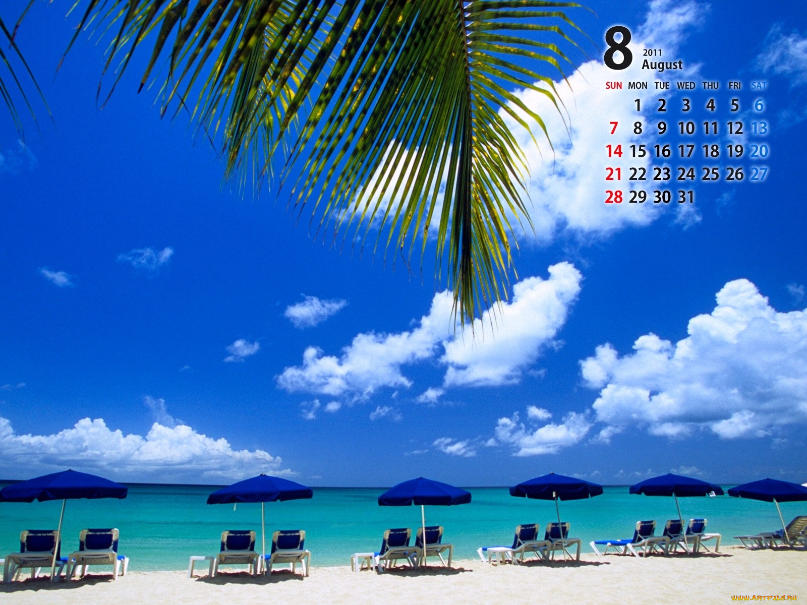 календари, природа, август, лежаки, пальма, пляж, море