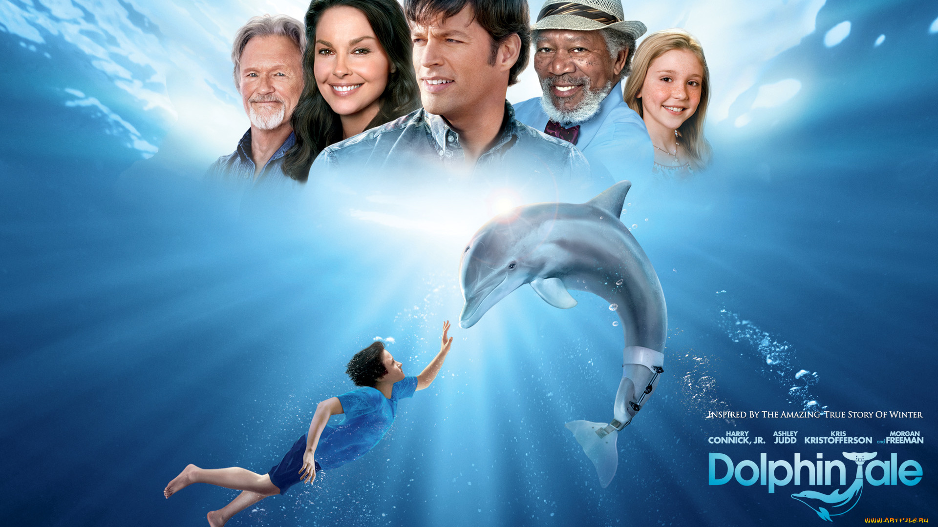dolphin, tale, кино, фильмы, вода, дельфин, шляпа, улыбки