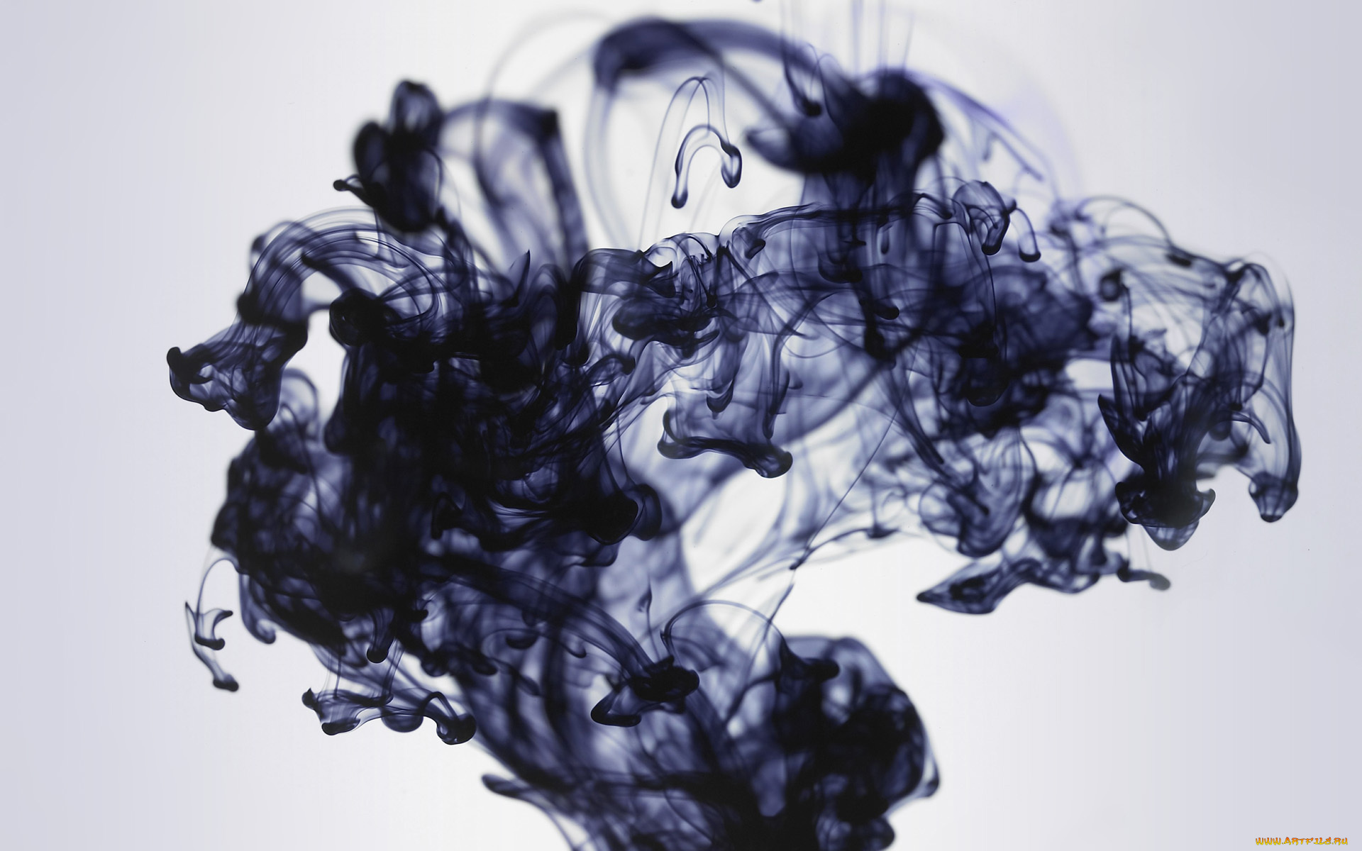3д, графика, abstract, абстракции, smoke, черный, дым