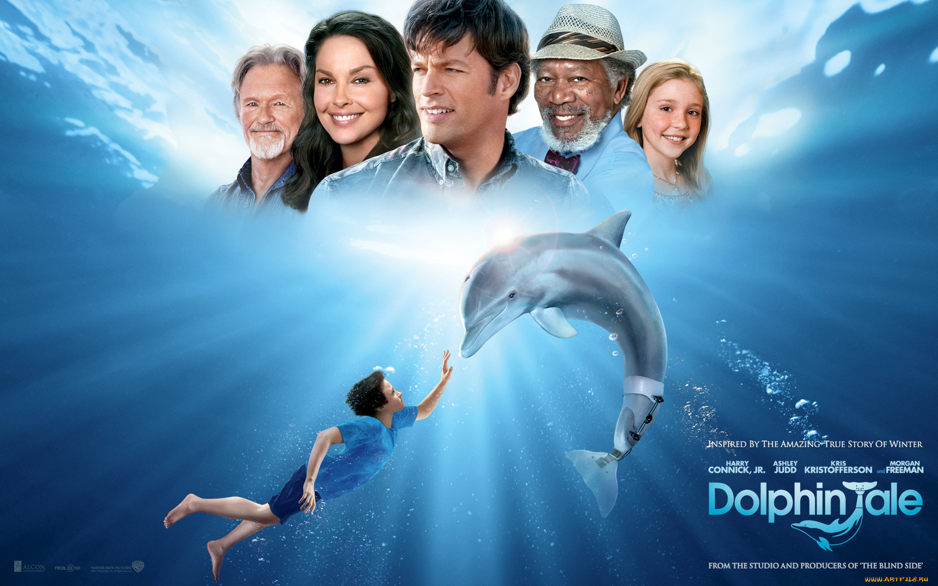 dolphin, tale, кино, фильмы, вода, дельфин, шляпа, улыбки