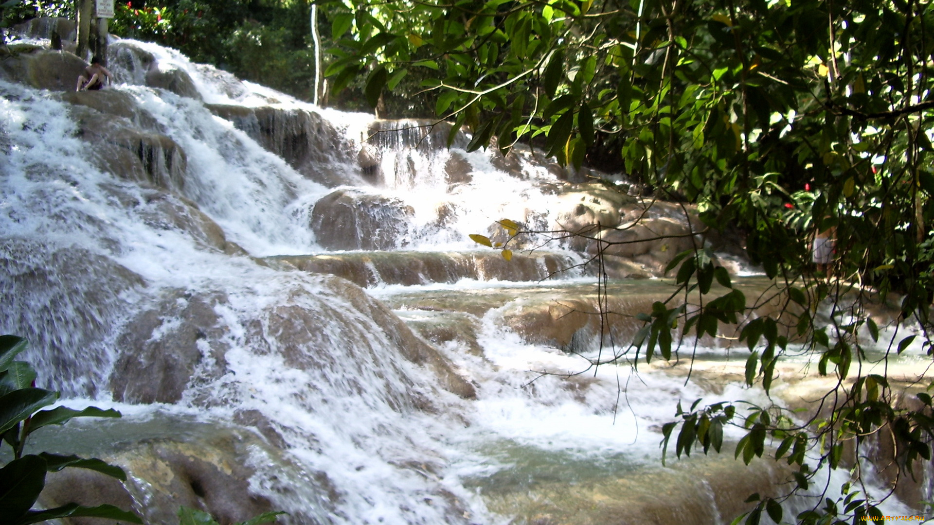 jamaica, природа, водопады, водопад, река