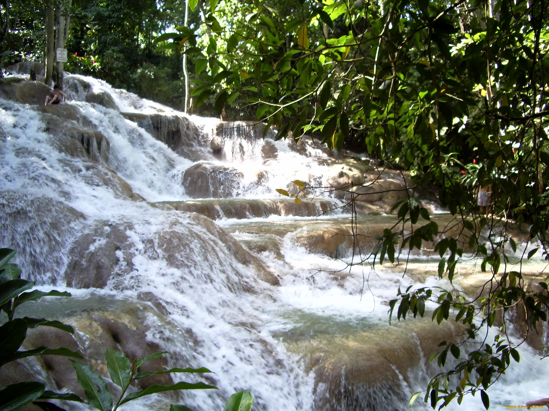 jamaica, природа, водопады, водопад, река