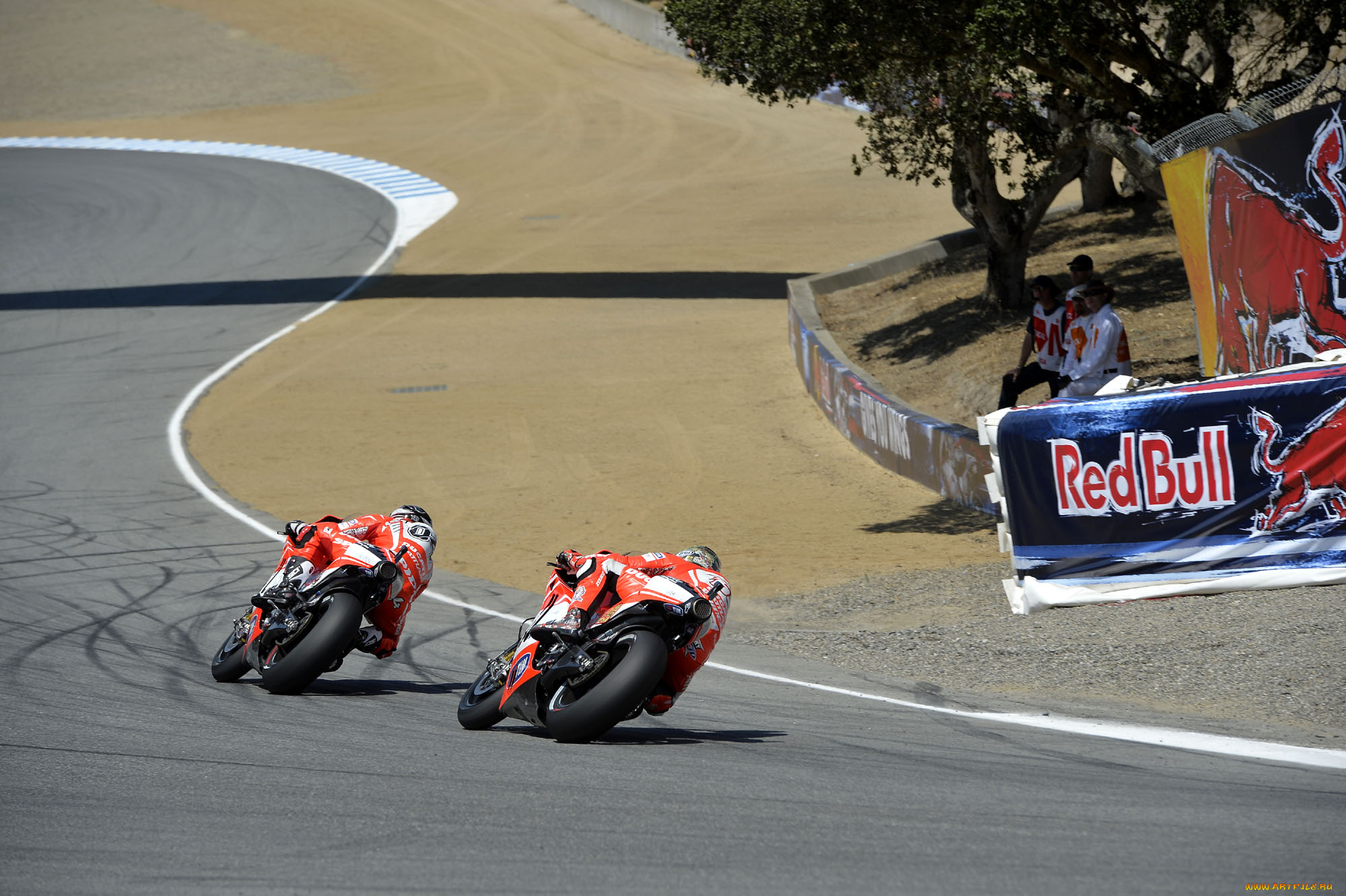 спорт, мотоспорт, 2013, motogp