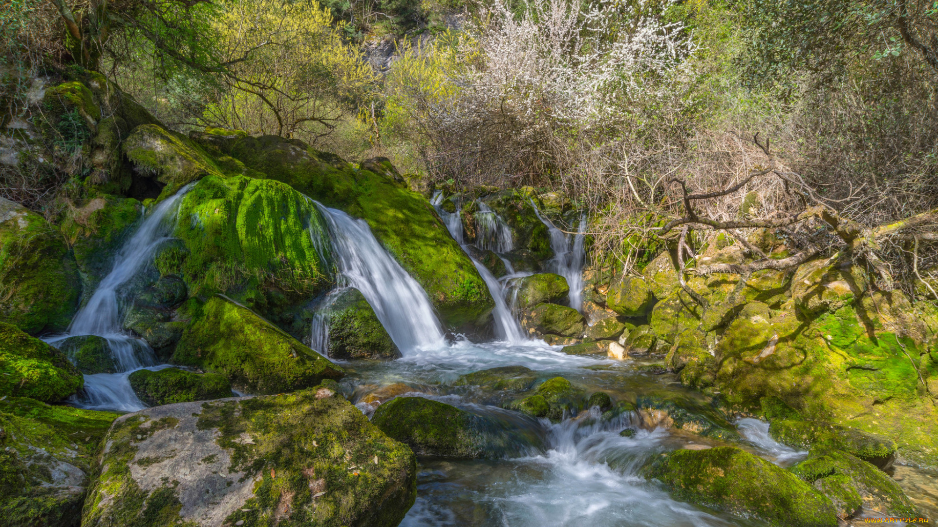 природа, водопады, лес, водопад, река