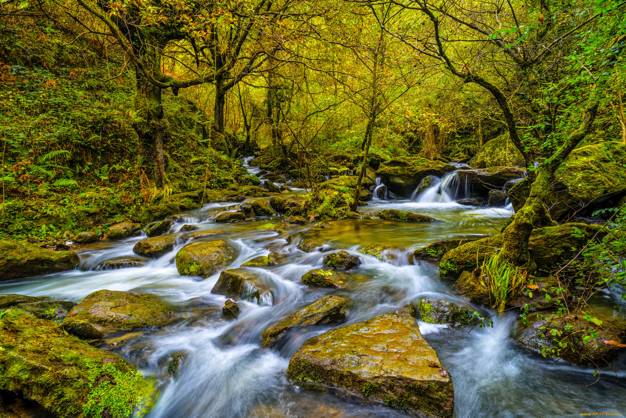 природа, водопады, водопад, река, лес