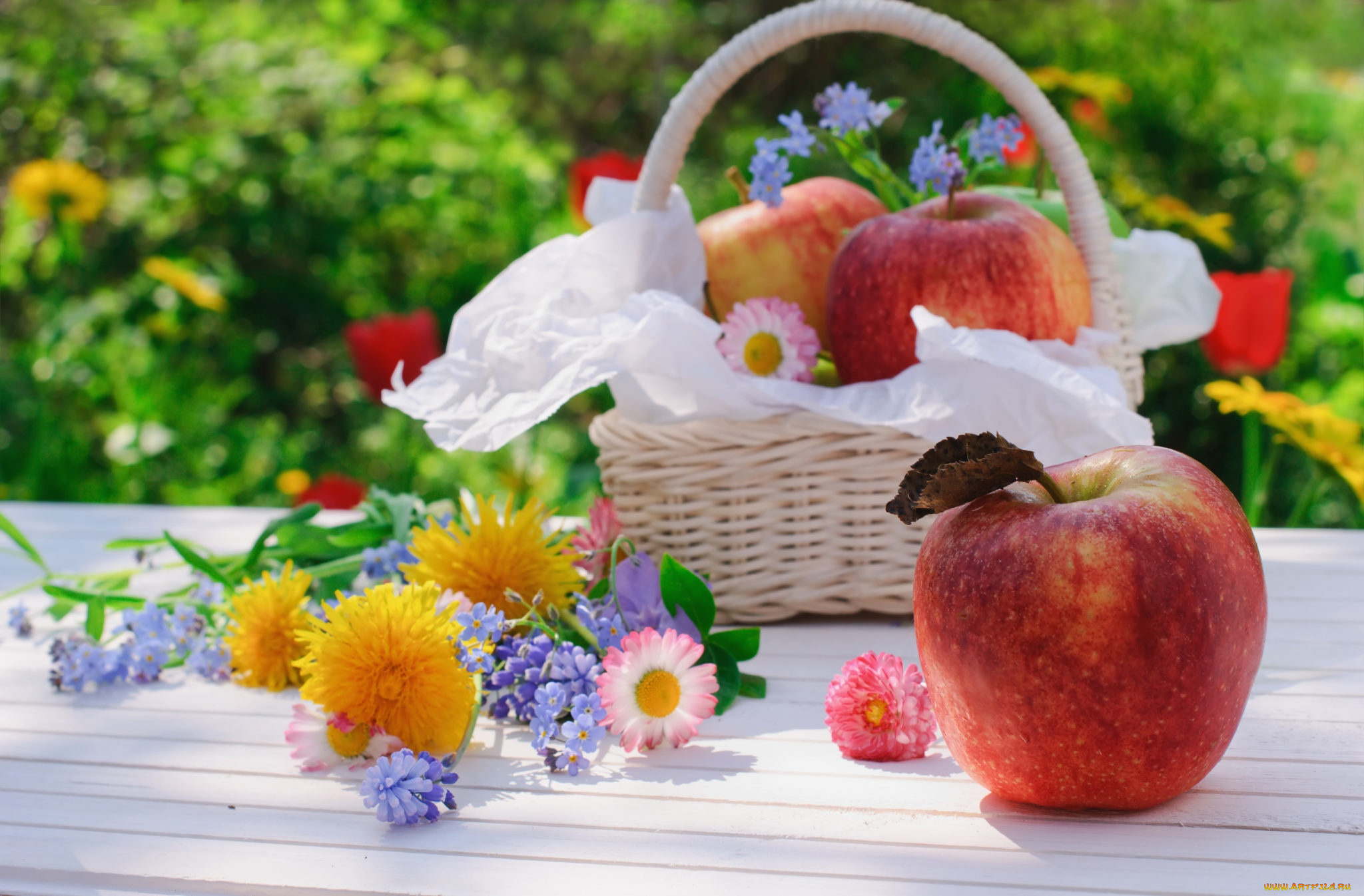 еда, Яблоки, цветы, яблоки, корзинка