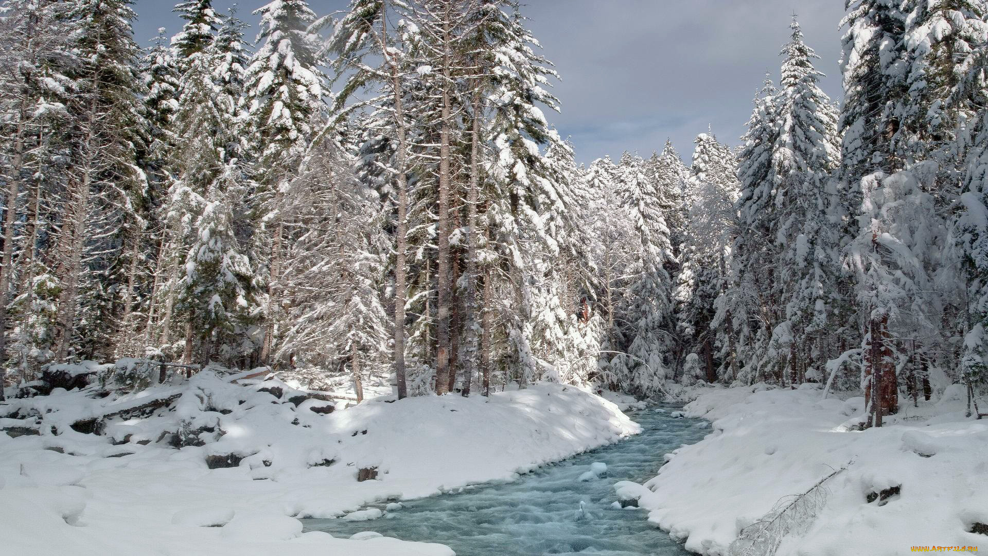 природа, реки, озера, снег, зима