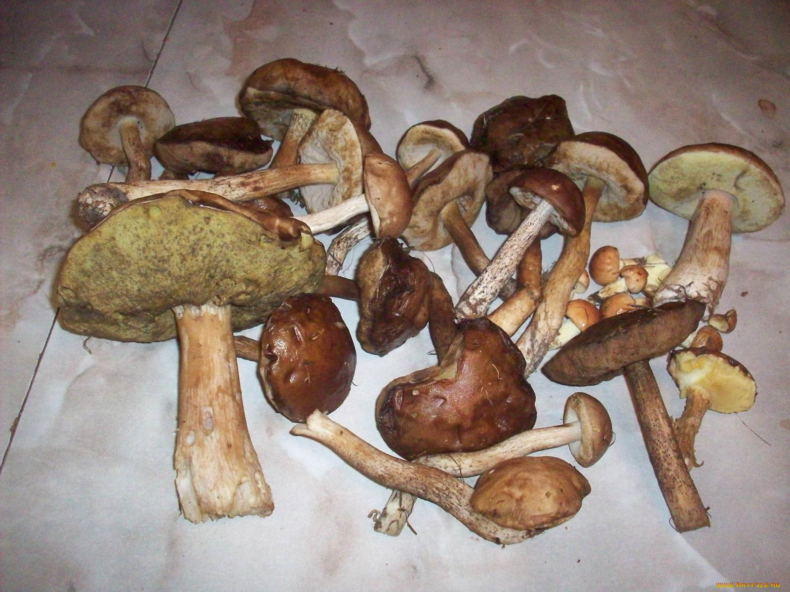 еда, грибы, грибные, блюда