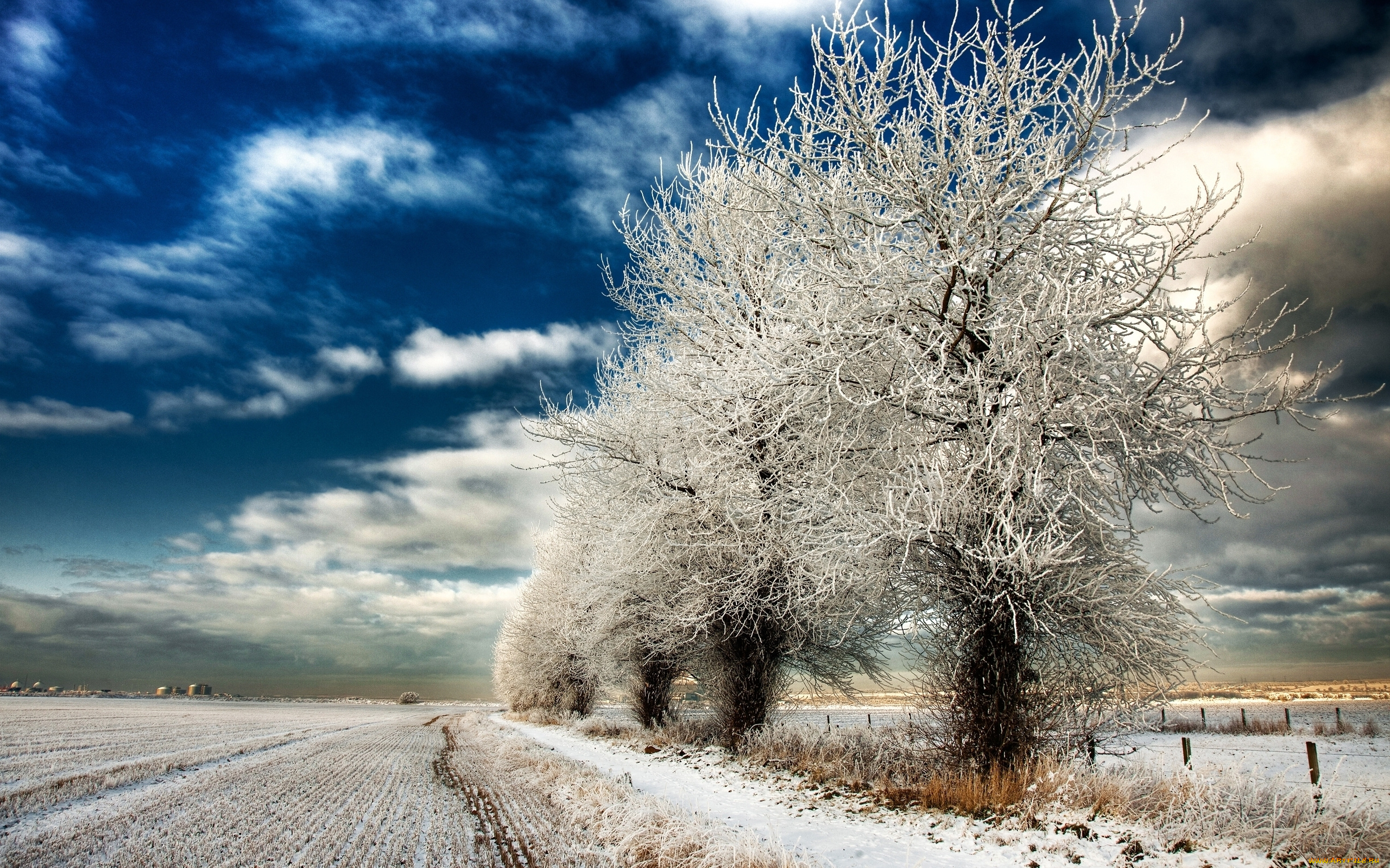 природа, зима, поле