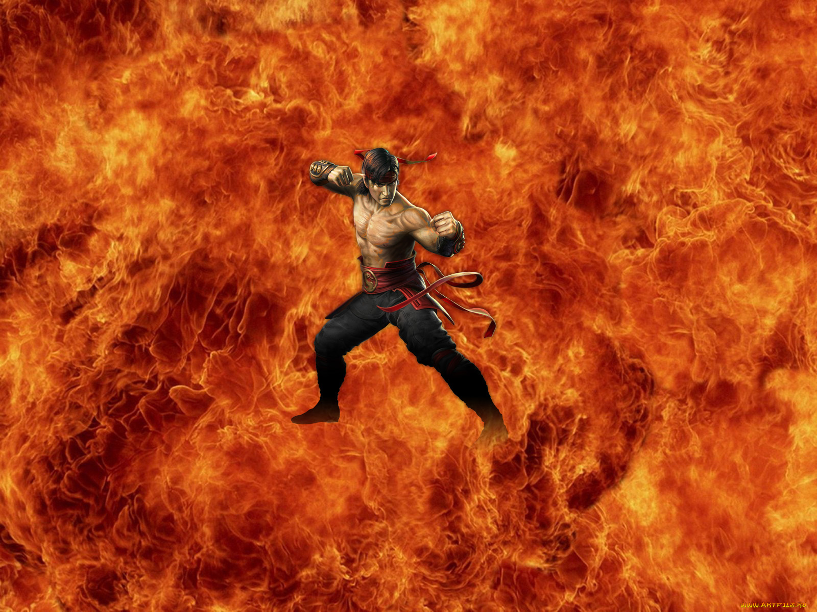 Combat видео. Огненный боец Mortal Kombat. Мортал комбат пламя. MK Armageddon. Картинки мортал комбат.